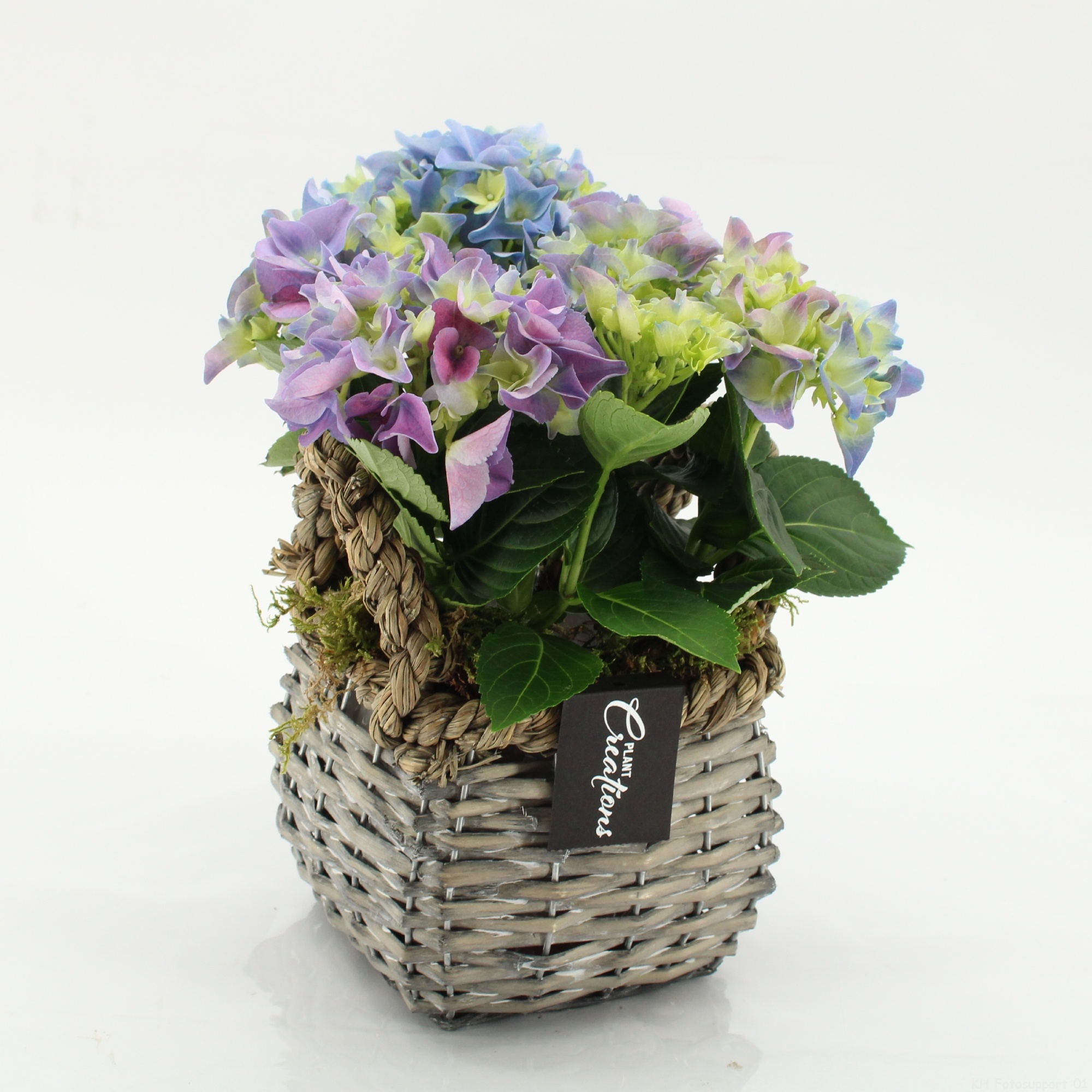 KHCR-2607B Hydrangea creations, D 14