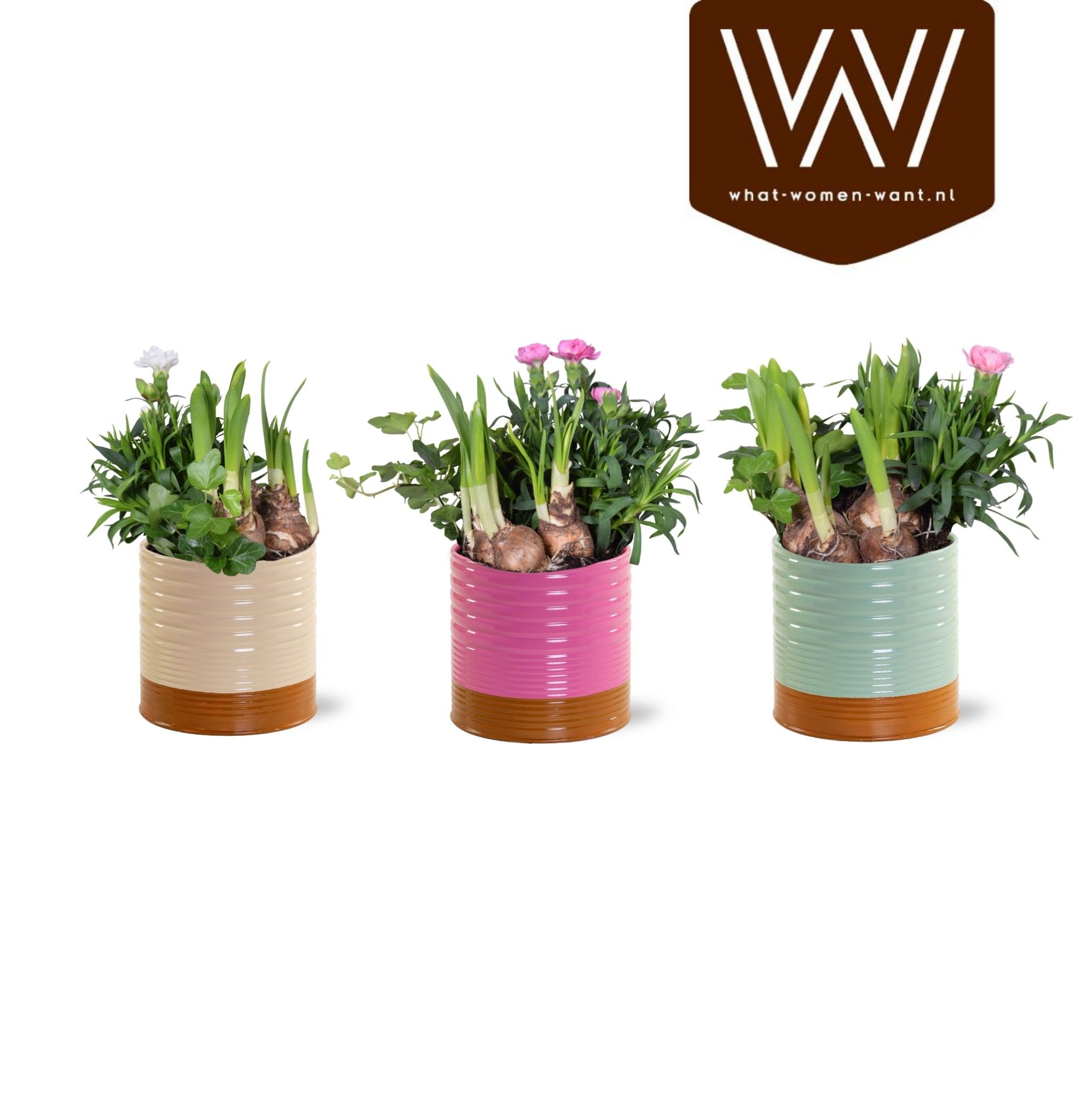 Collectie 'Tasty Bubble' - Arrangement in Zink Nola, D 12