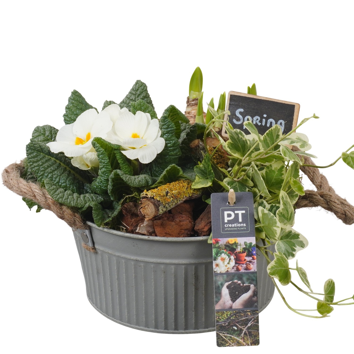 PTBM3782 Arrangement Flower Bulbs Mix in metalen pot, D 19