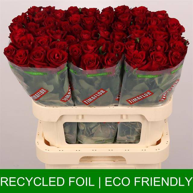 Роза од. Эвер Рэд 80, шт. Роза од. Эвер Рэд 80, шт.