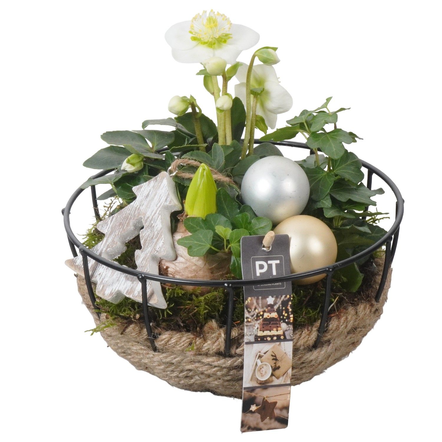 PTWO1931 Arrangement Winter Outdoor in touwmand, D 20 cm PTWO1931 Arrangement Winter Outdoor in touwmand, D 20 cm