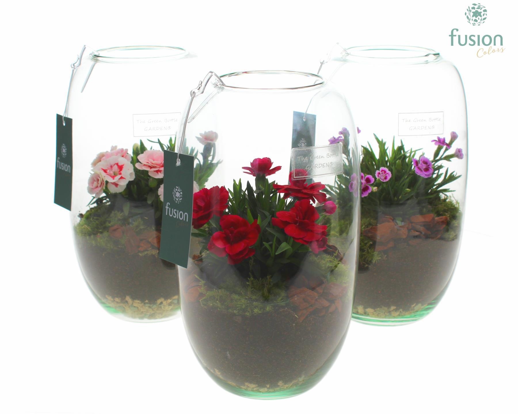 Green Bottle Isabella Small met Dianthus H25H26 FC22.0513, D 15