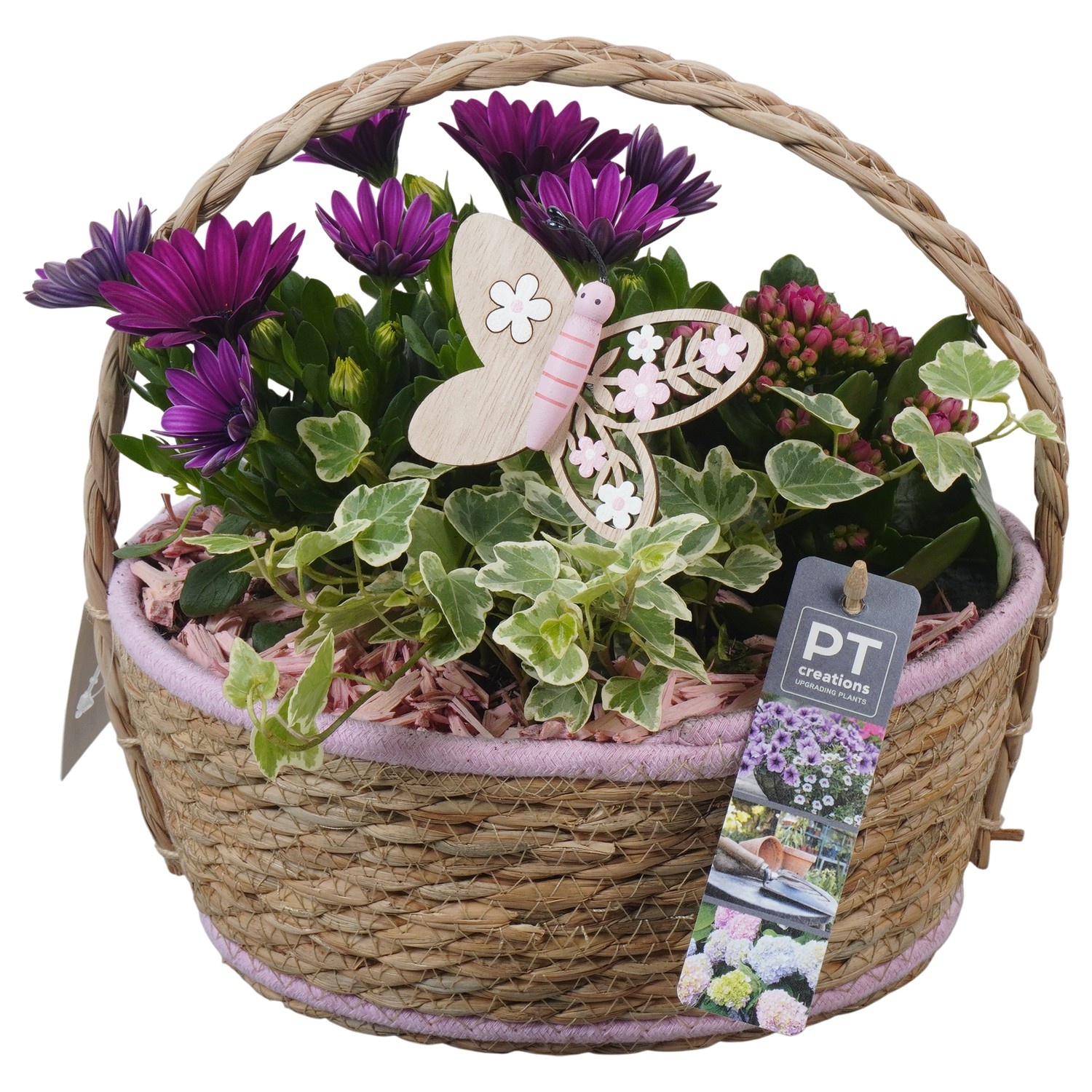 PTPP6934 Arrangement Patio in rieten mand, D 24