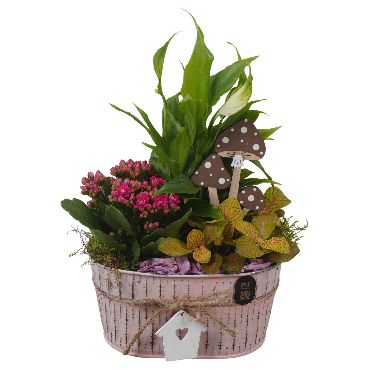 PTHI3415 Arrangement Autumn Indoor in metalen pot ovaal, D 19