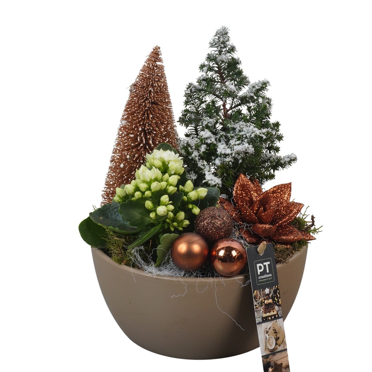 PTCHB9730 Arrangement Christmas Bronze in keramiek schaal, D 18 cm
