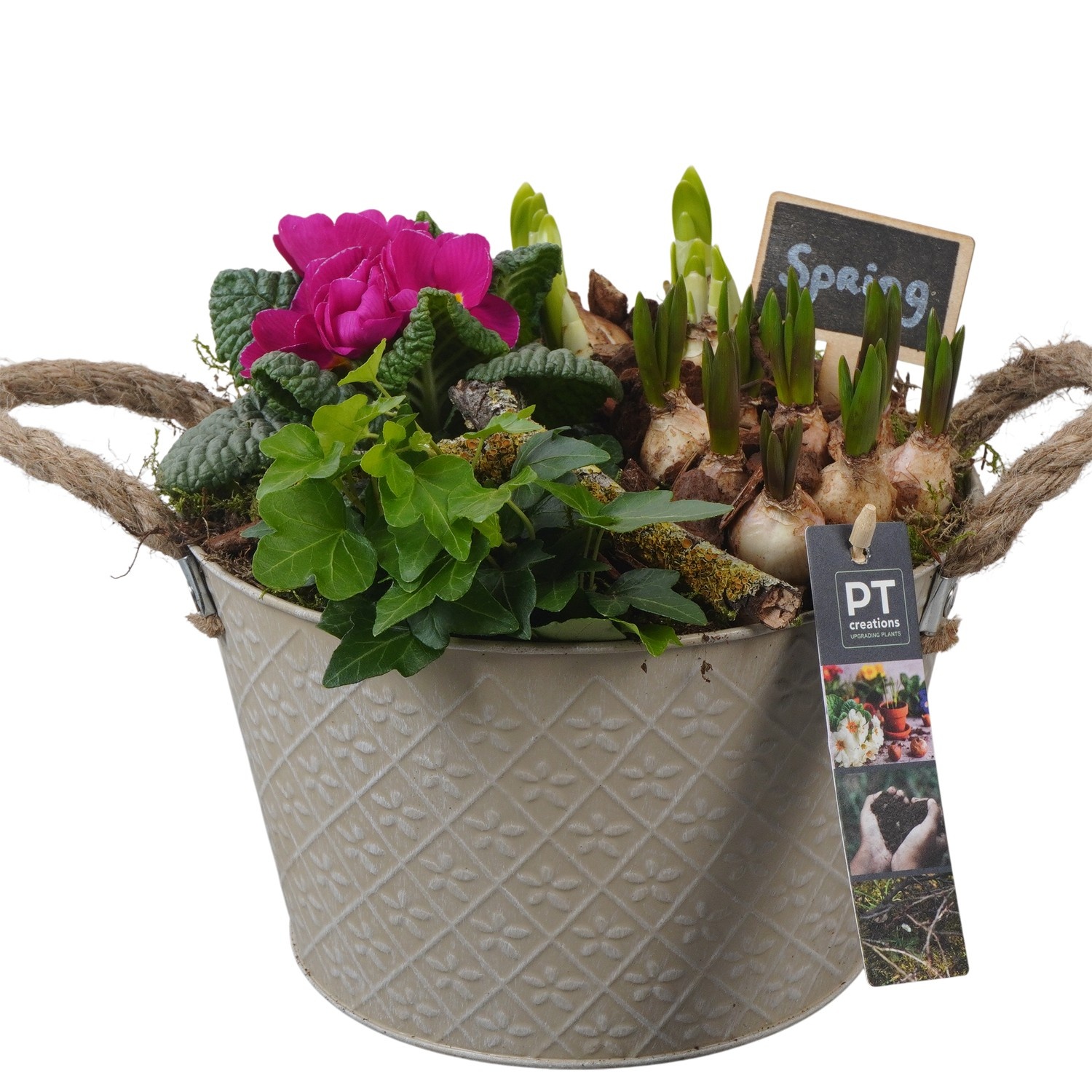 PTBM3751 Arrangement Flower Bulbs Mix in metalen pot, D 21