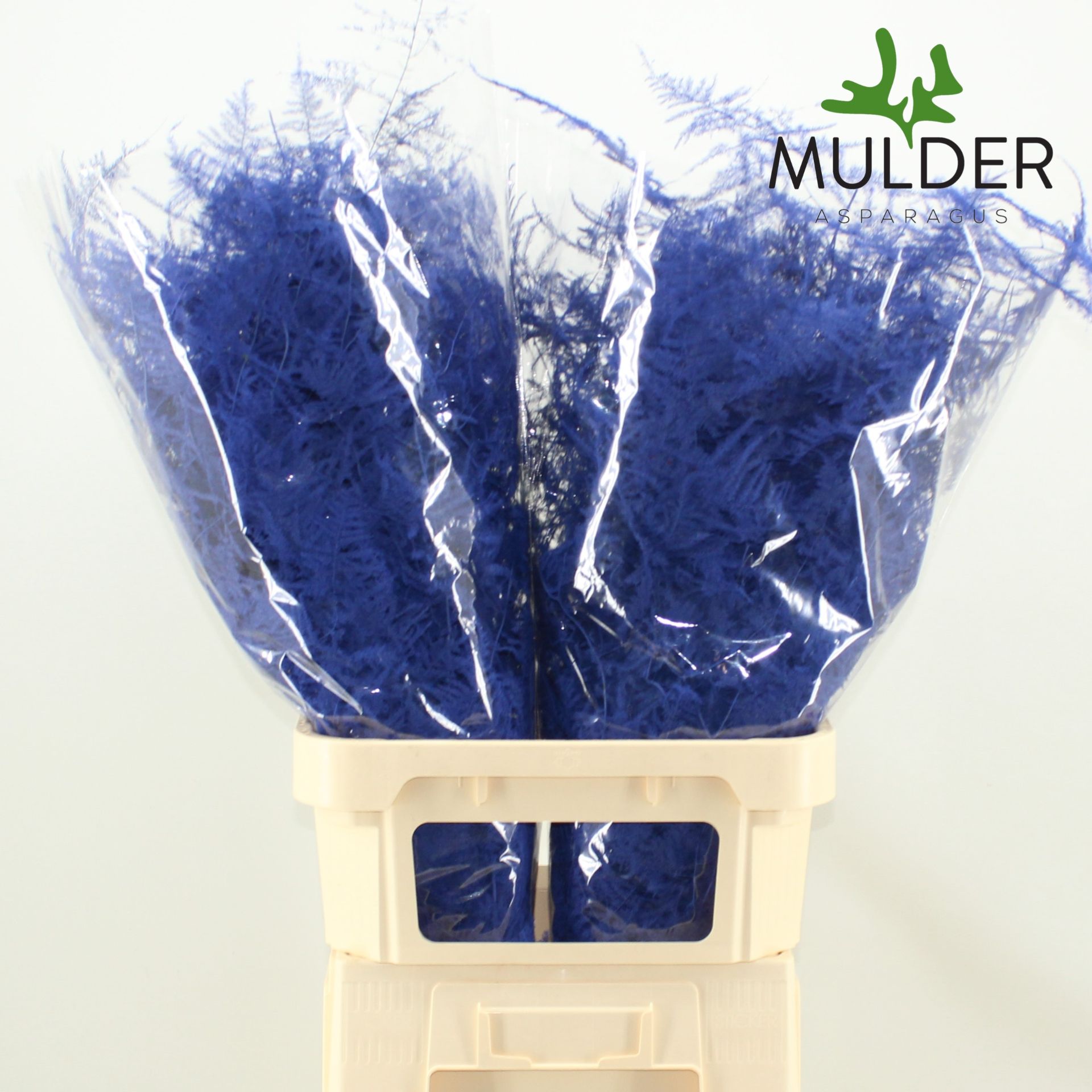 Аспарагус Овериг Крашеный (краш. ) 85, шт.