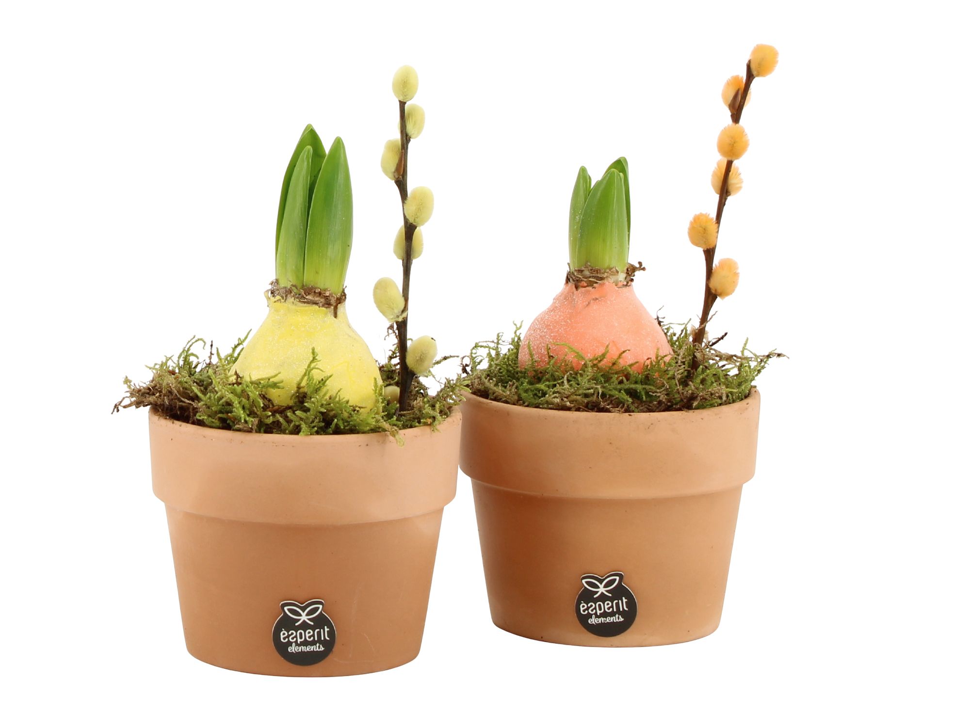 11668: Outdoor spring arrangement, D 10