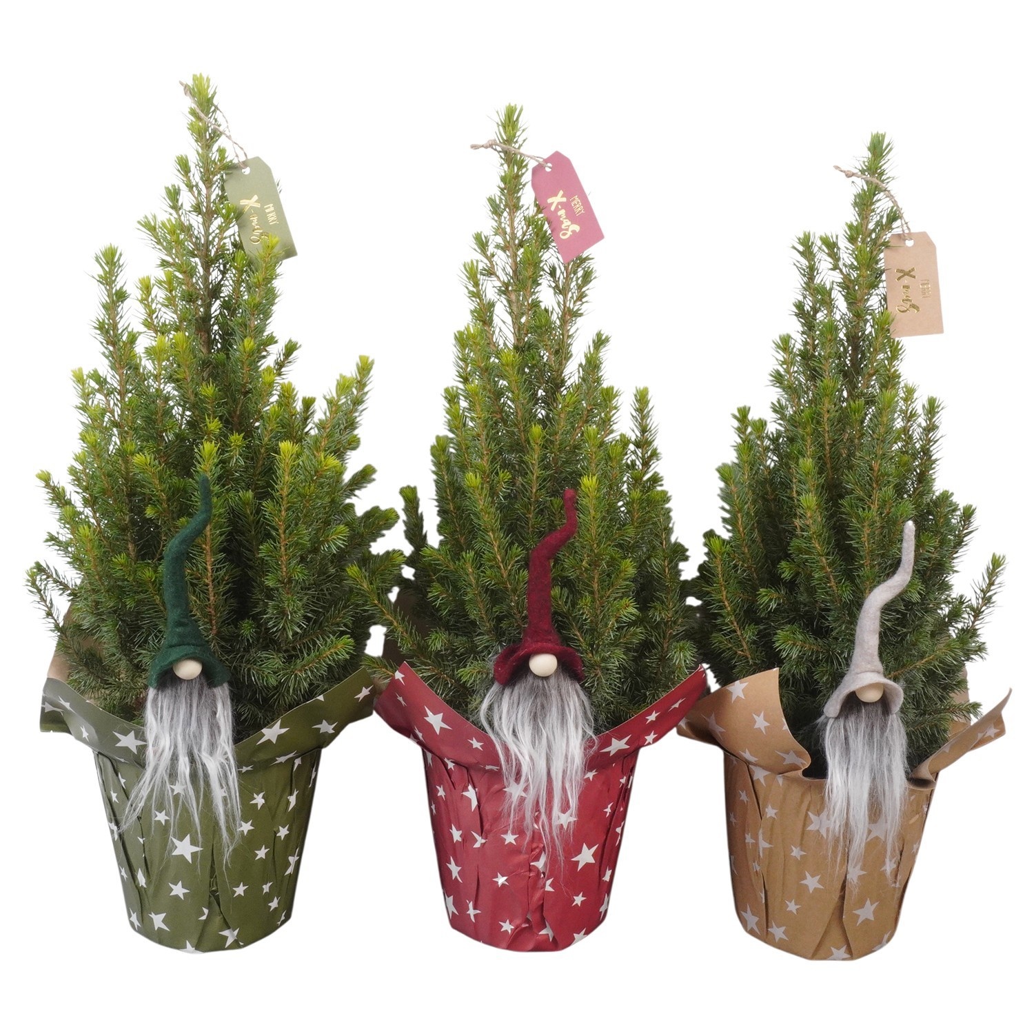 PTK26311 Conica Perfecta in papieren potcover mix met decoratie, D 13