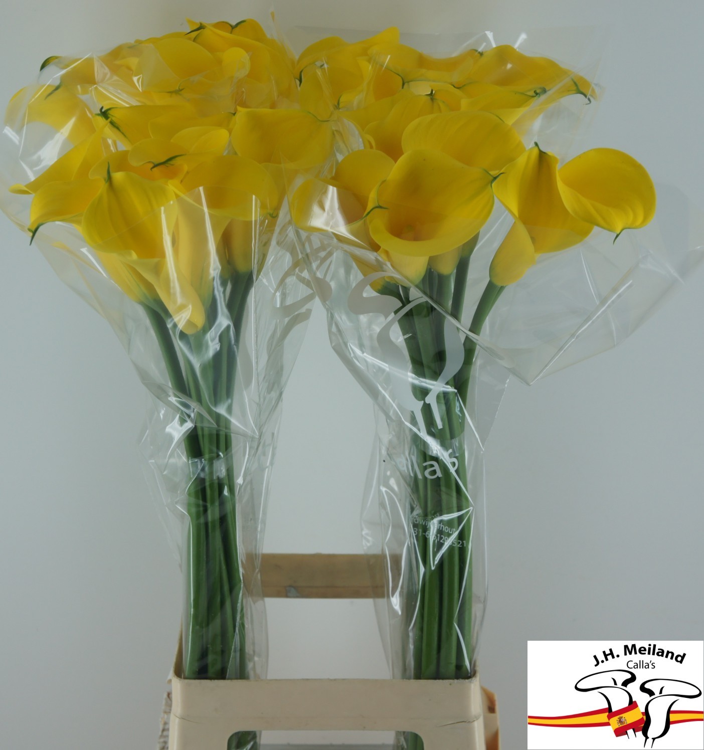 Калла Голд Медал 80, шт.