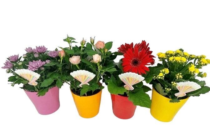 Bloeimix 12 cm - Keramiek + Steker, D 12