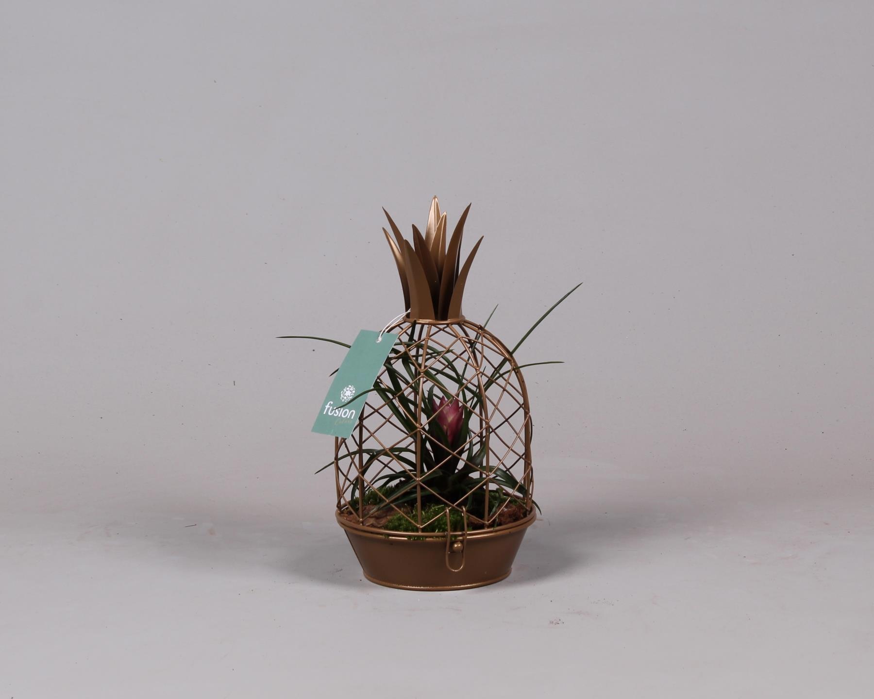 Metalen Ananas goud met Tillandsia, D 15