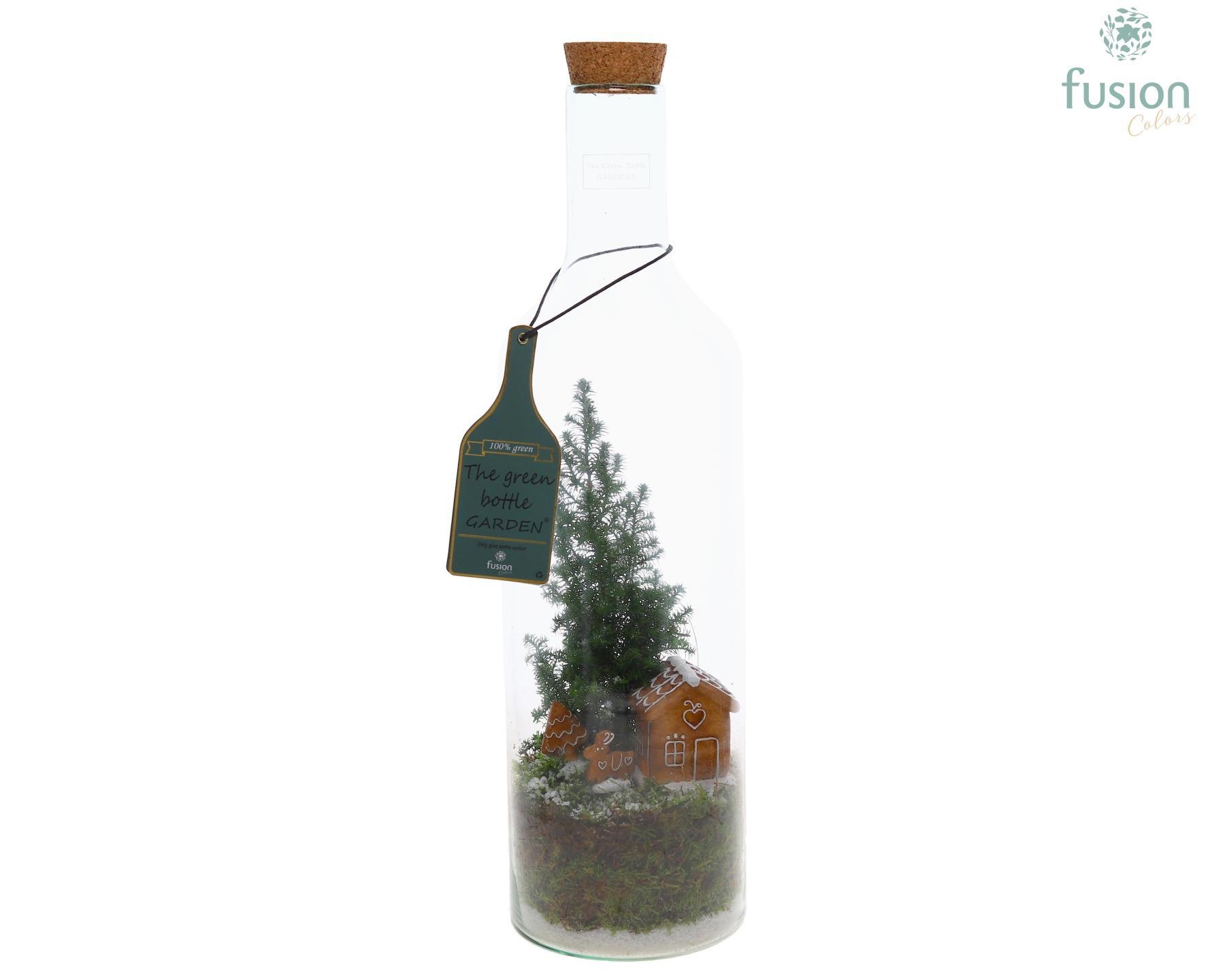 Green Bottle Fles Large Kerst met Chamaecyparis, D 15 cm Green Bottle Fles Large Kerst met Chamaecyparis, D 15 cm
