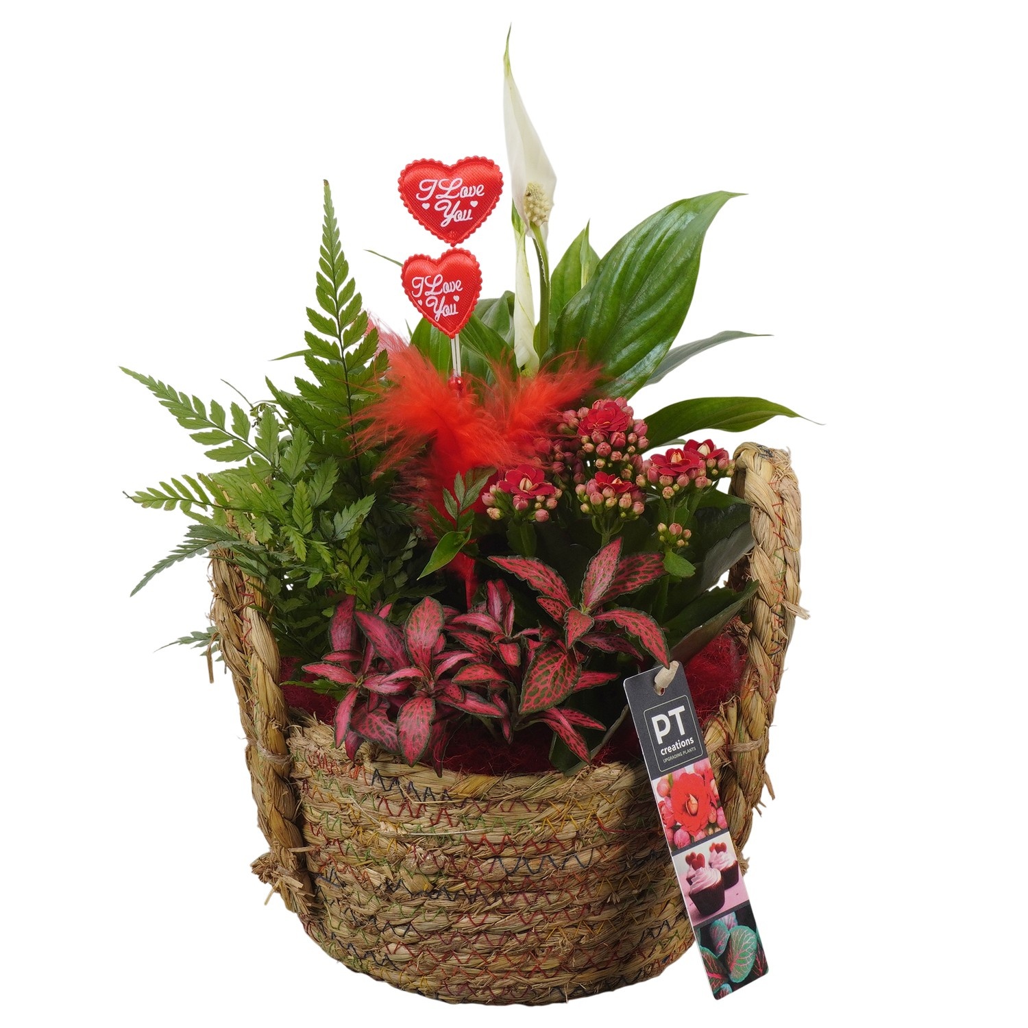 PTVMB2344 Arrangement Valentines-Mothersday in riet mand, D 18
