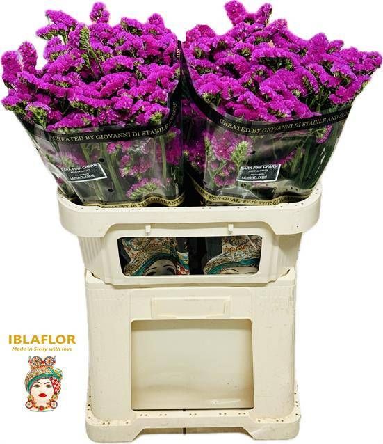 Статица Дарк Пинк Шарм 75, шт.