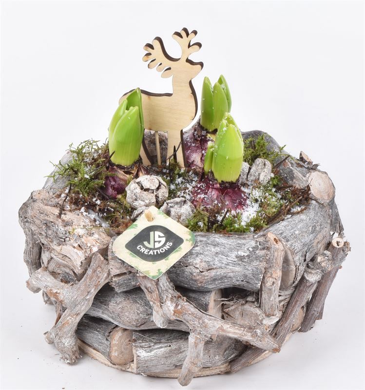 Natuur druivenhout 24cm, D 24 cm Natuur druivenhout 24cm, D 24 cm