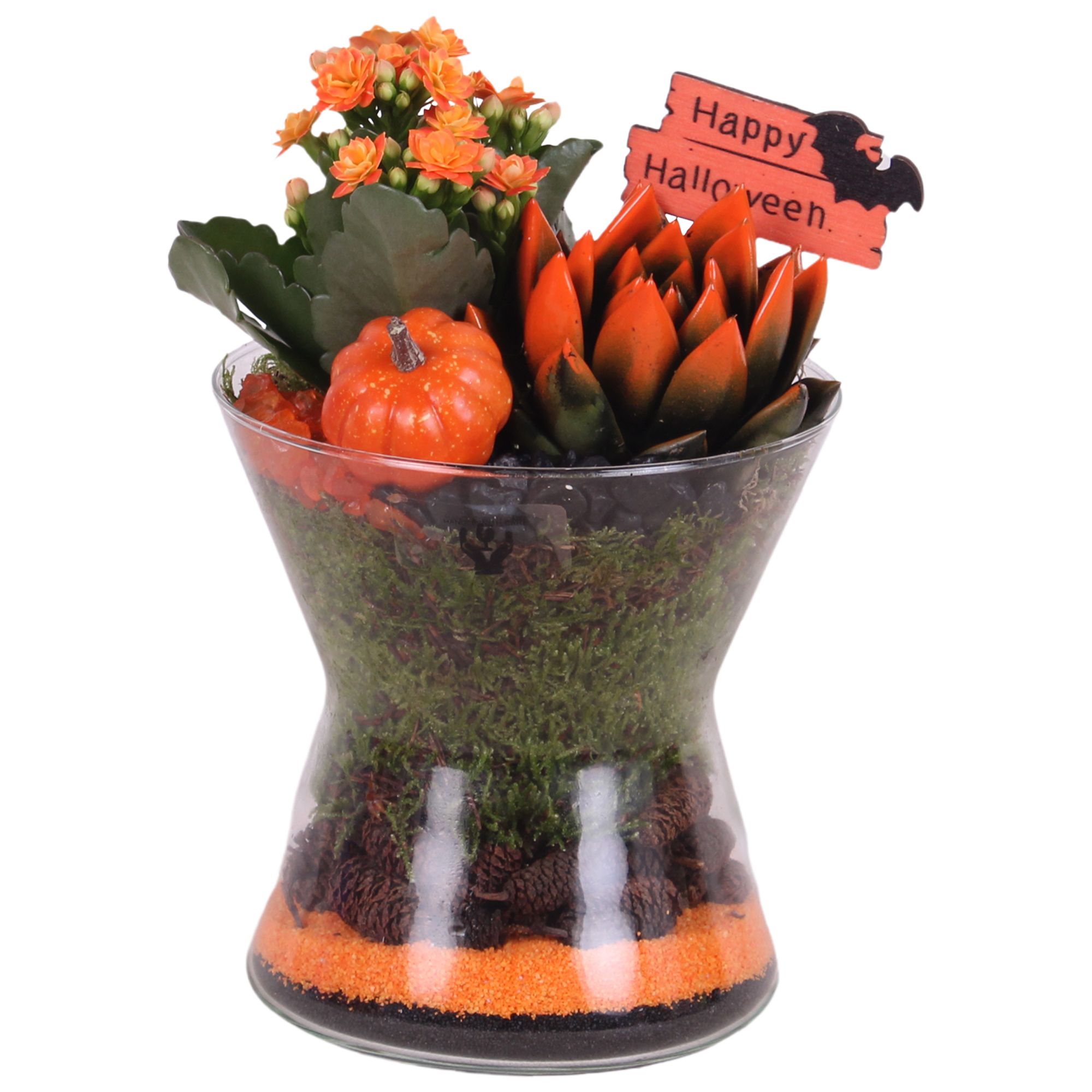 Halloween Arr. Indoor Glass Diabolo Ø15cm 2PP, D 15 cm Halloween Arr. Indoor Glass Diabolo Ø15cm 2PP, D 15 cm