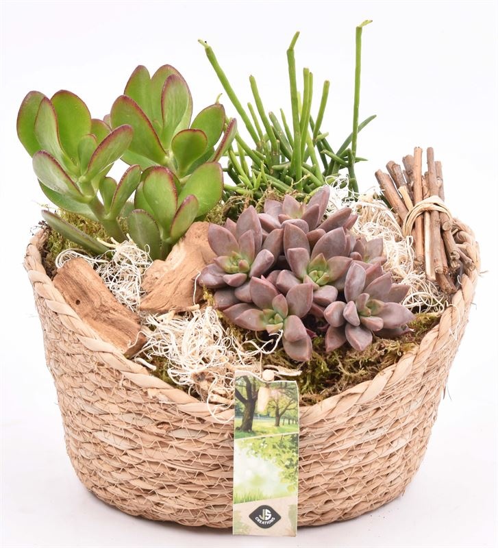 Jute mand ovaal 23x18.5cm, D 22