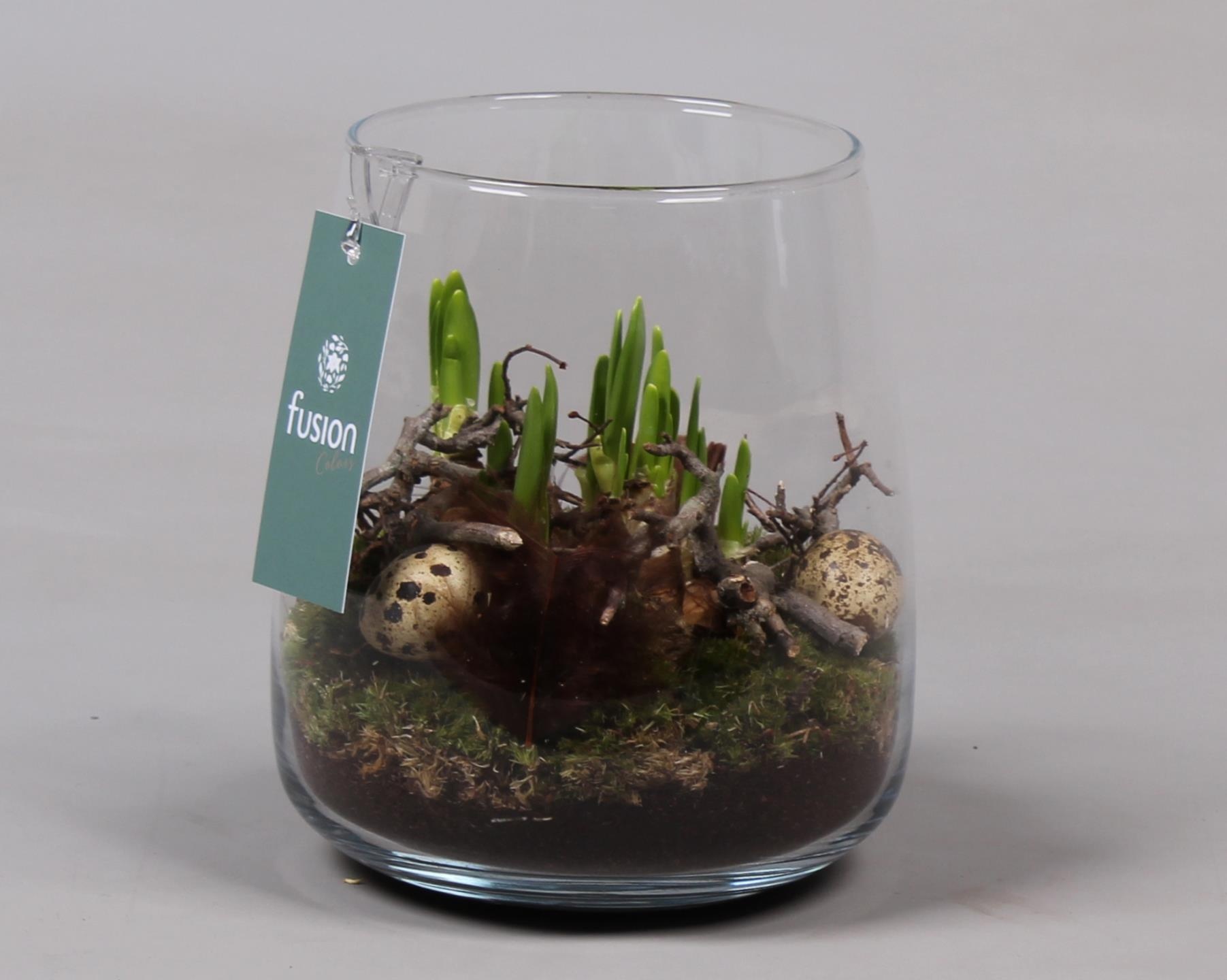 Glas Alzada met Arrangement Narcis, D 15