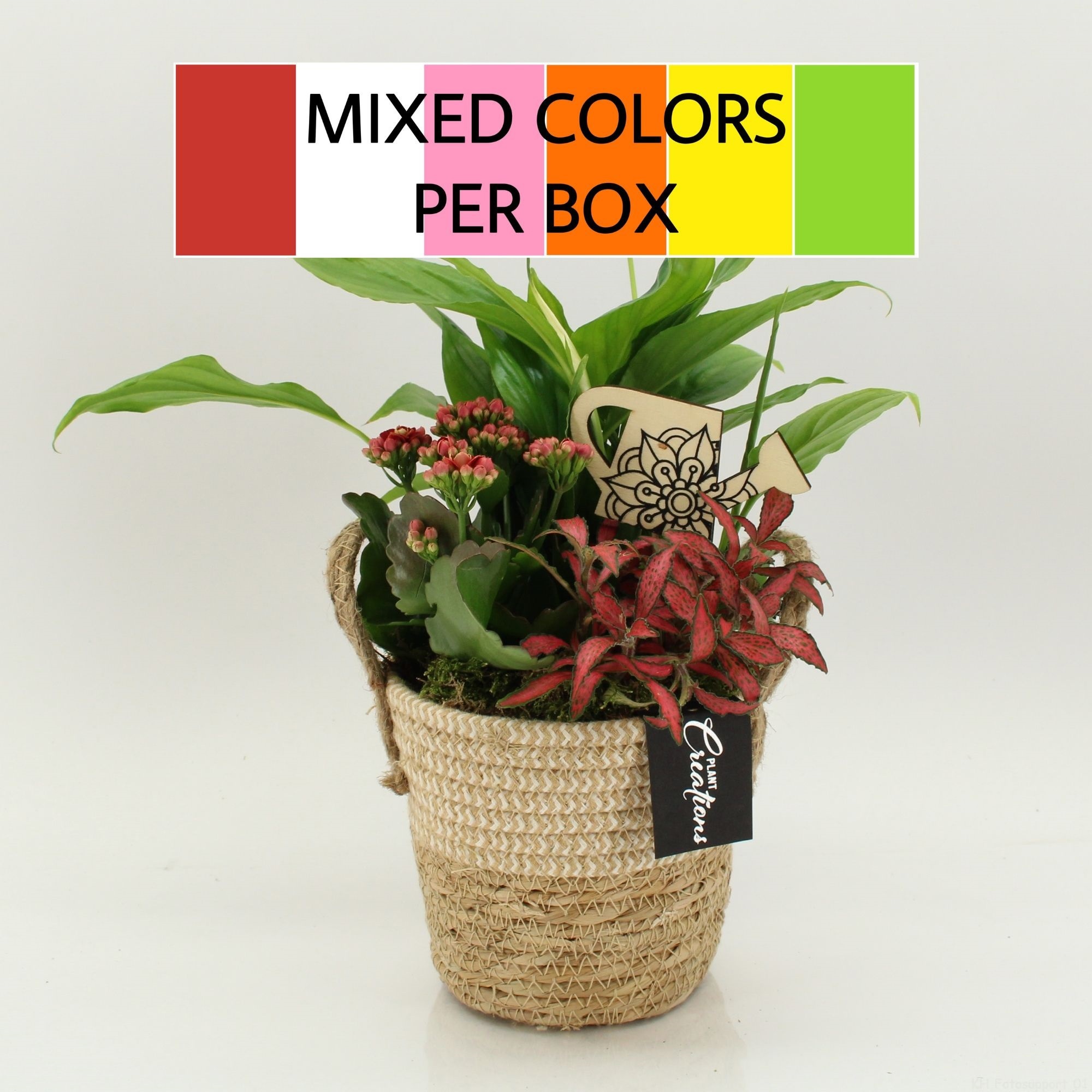 FDCR-2617M Basic Fundamentals, D 14