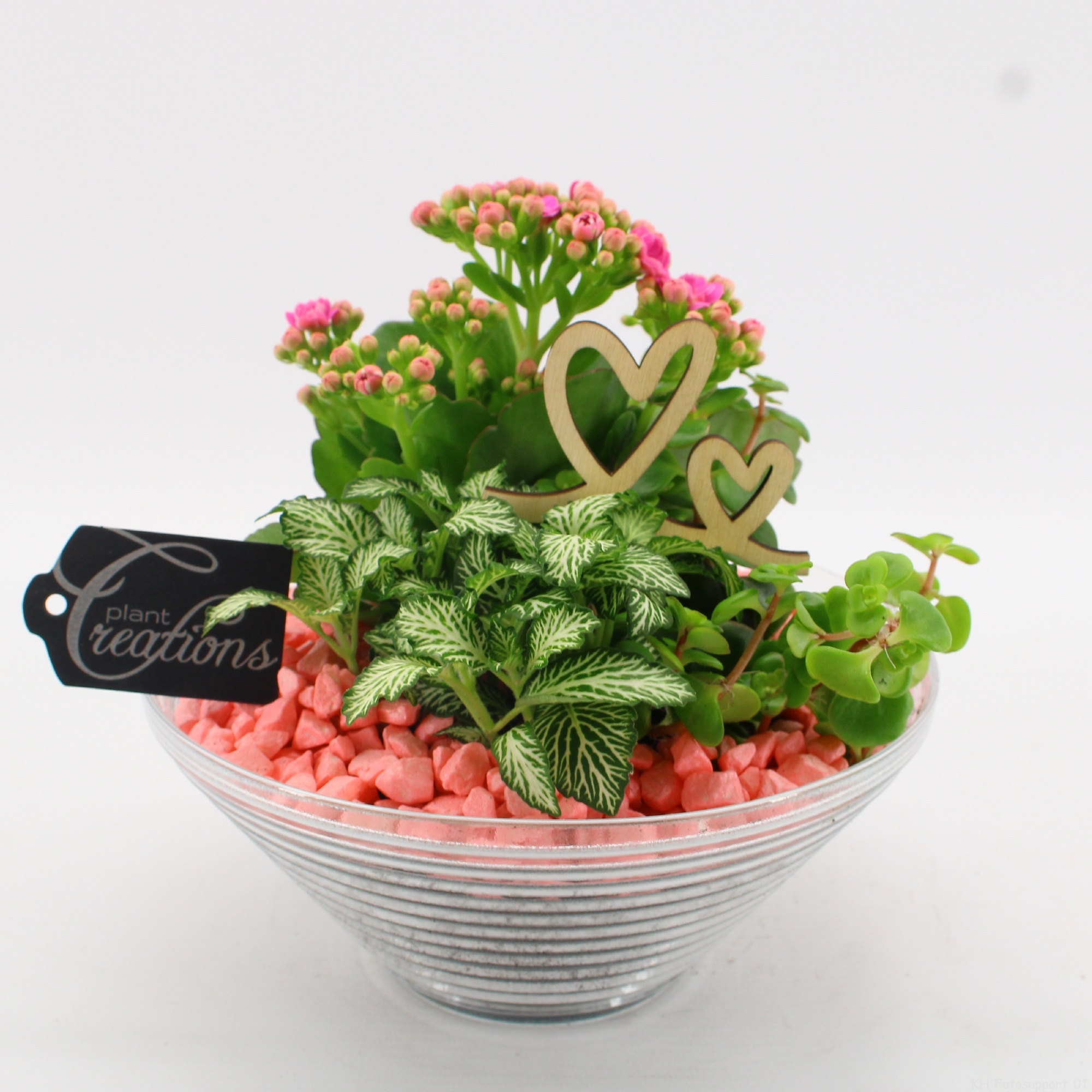 FDRM-2601RZ Romantic Fundamentals, D 20