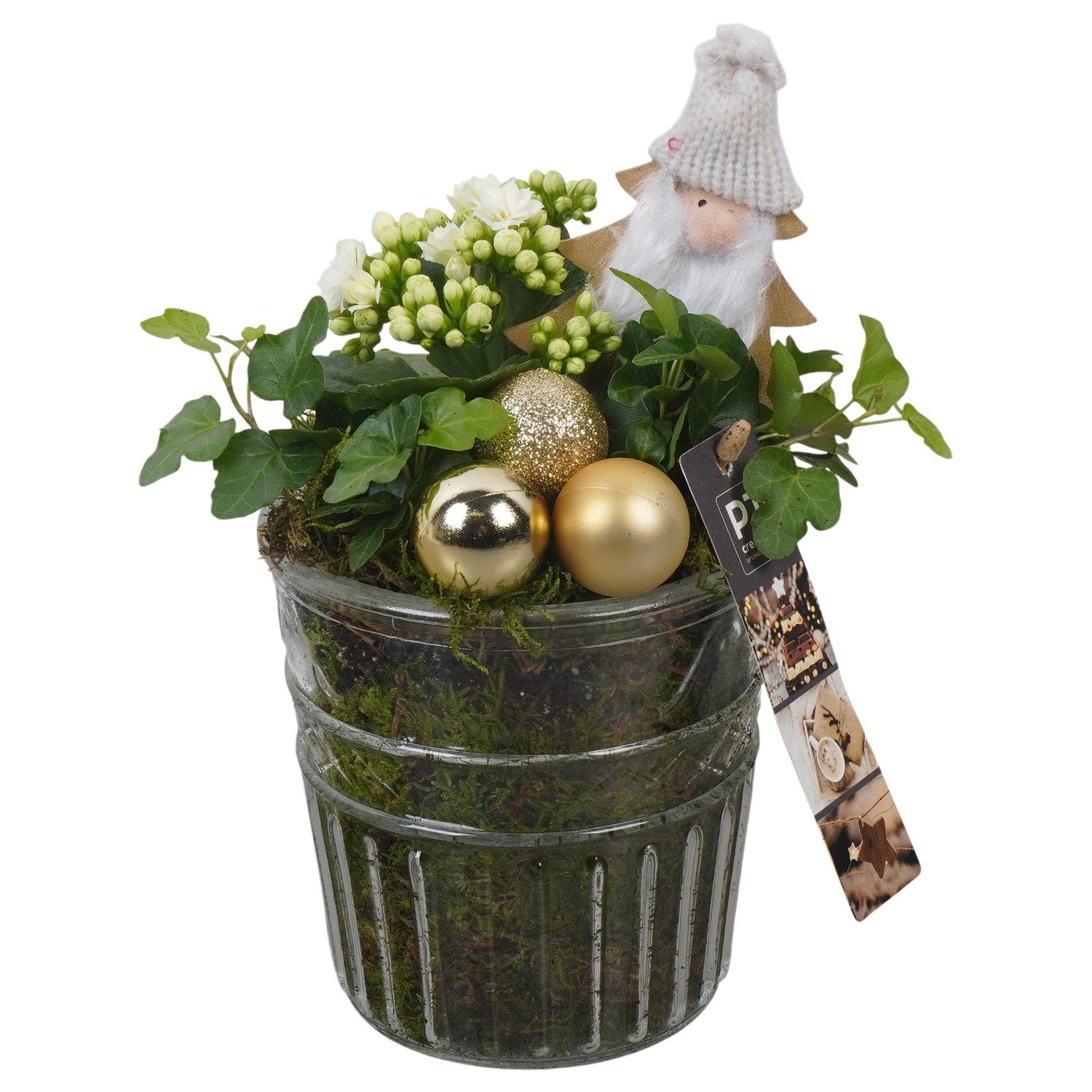 PTCHG5702 Arrangement Christmas Gold in glazen pot, D 12 cm