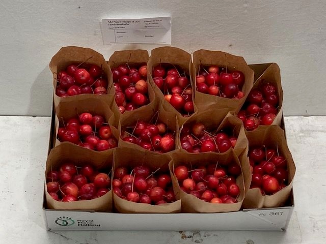 Малюс Рэд Сентинел за контейнер x12, шт.