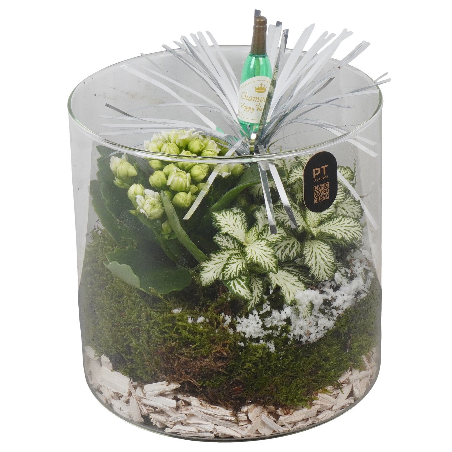 PTON6742 Arrangement New Year in glazen cyclinder, D 15