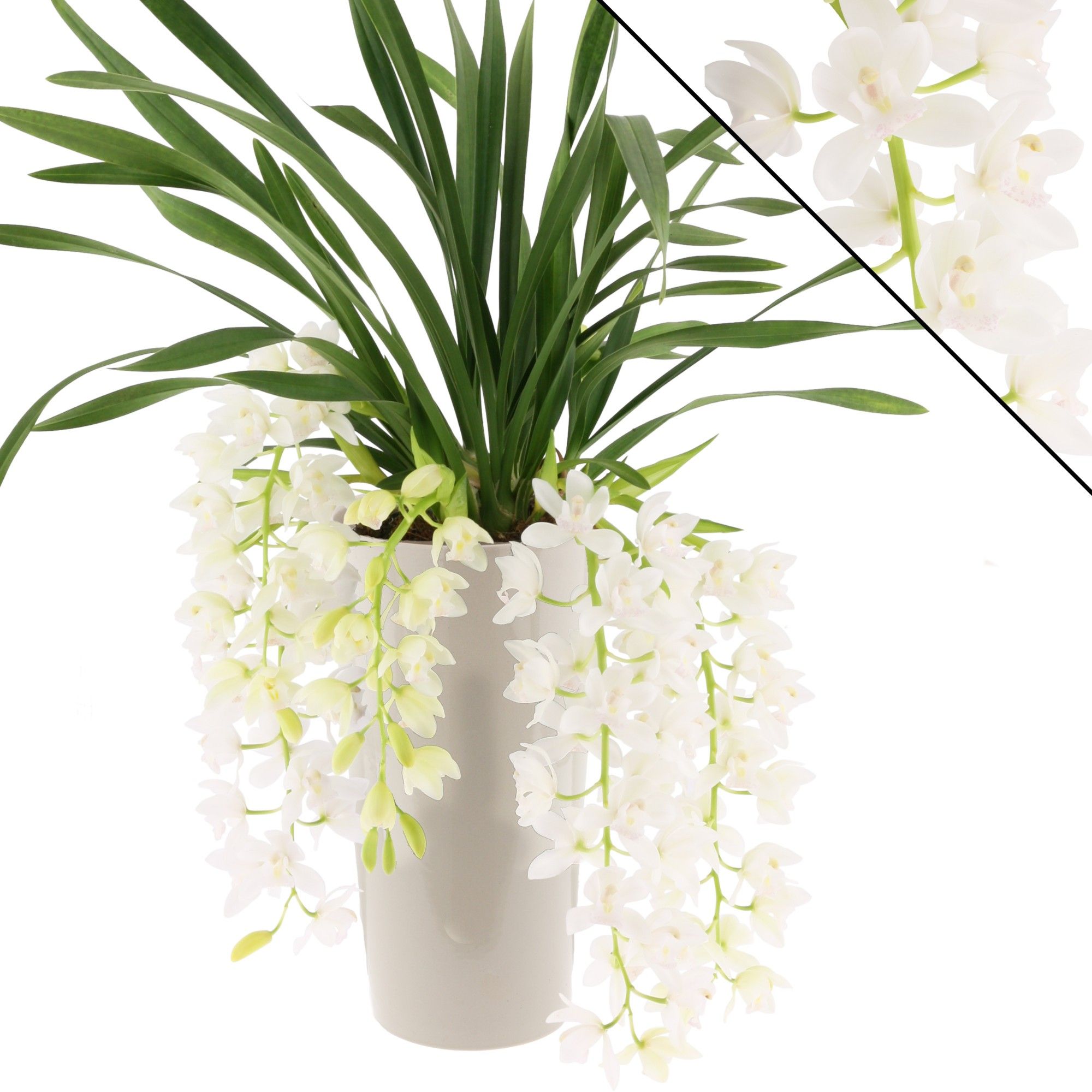 Ice Cascade, 5-7 tak incl. keramiek gebroken wit, D 14