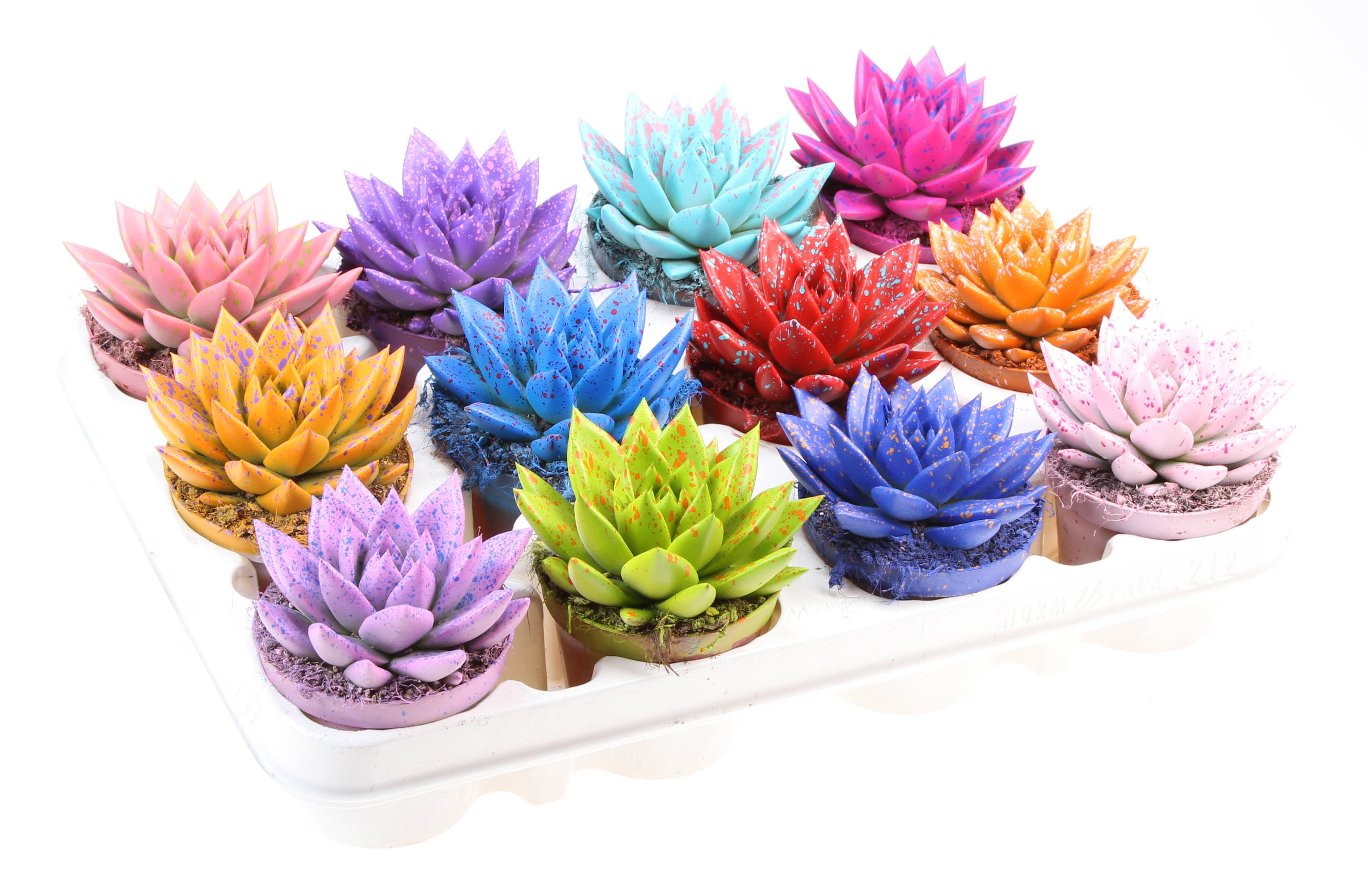 Rainbow sprinkle mix, D 8,5