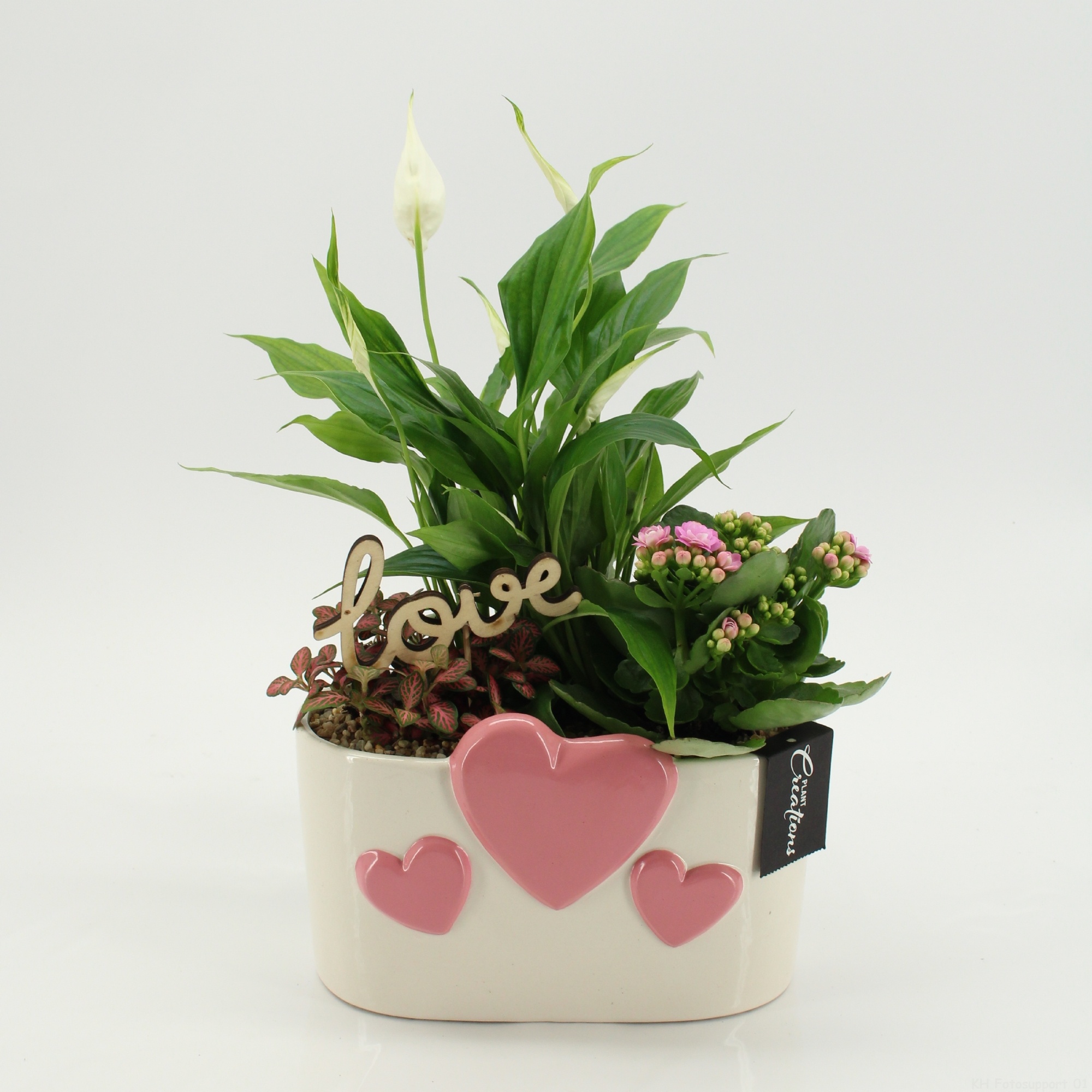 RMCR-2618RZ Romantic Essentials, D 20