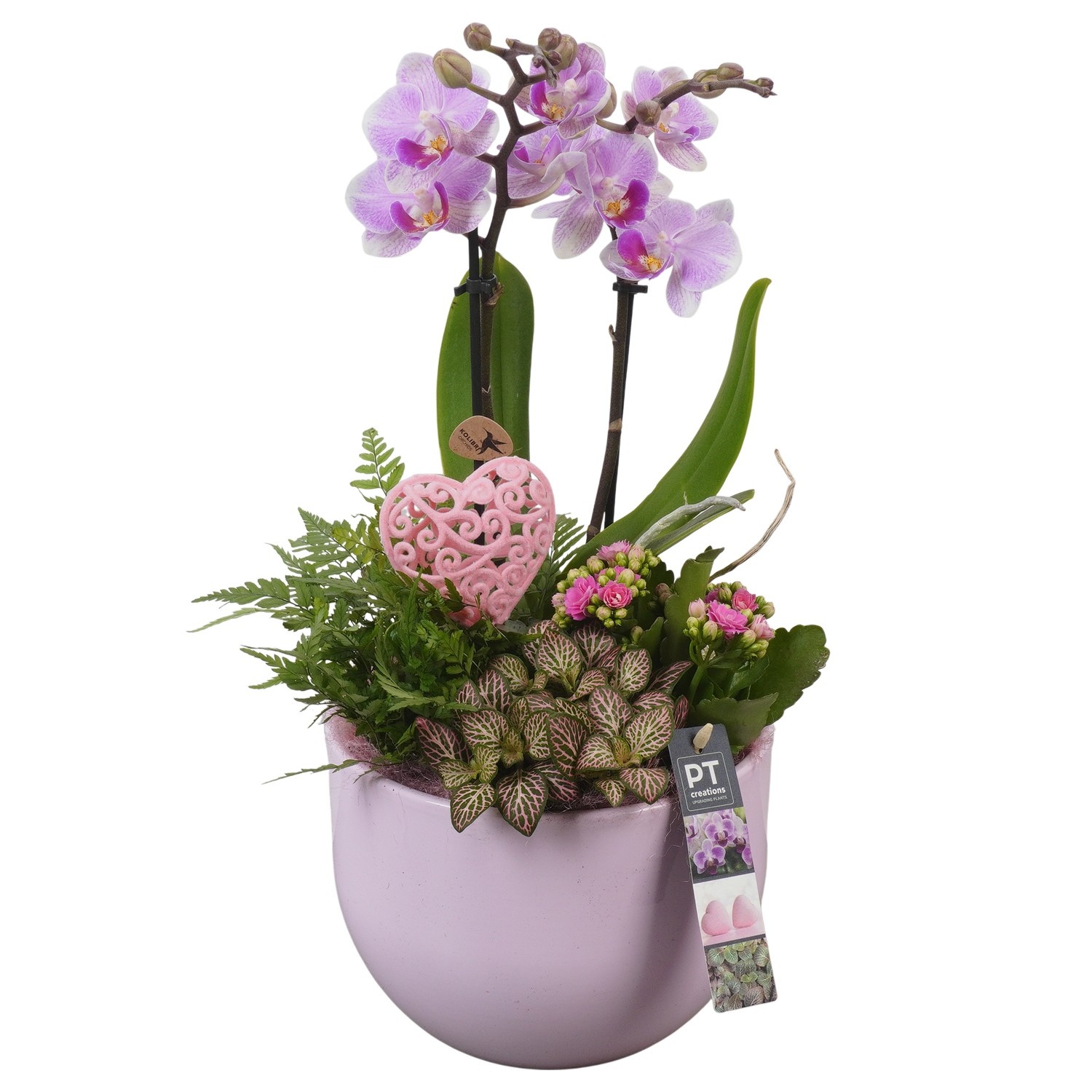 PTVMB2216 Arrangement Valentines-Mothersday in keramiek sierpot, D 19