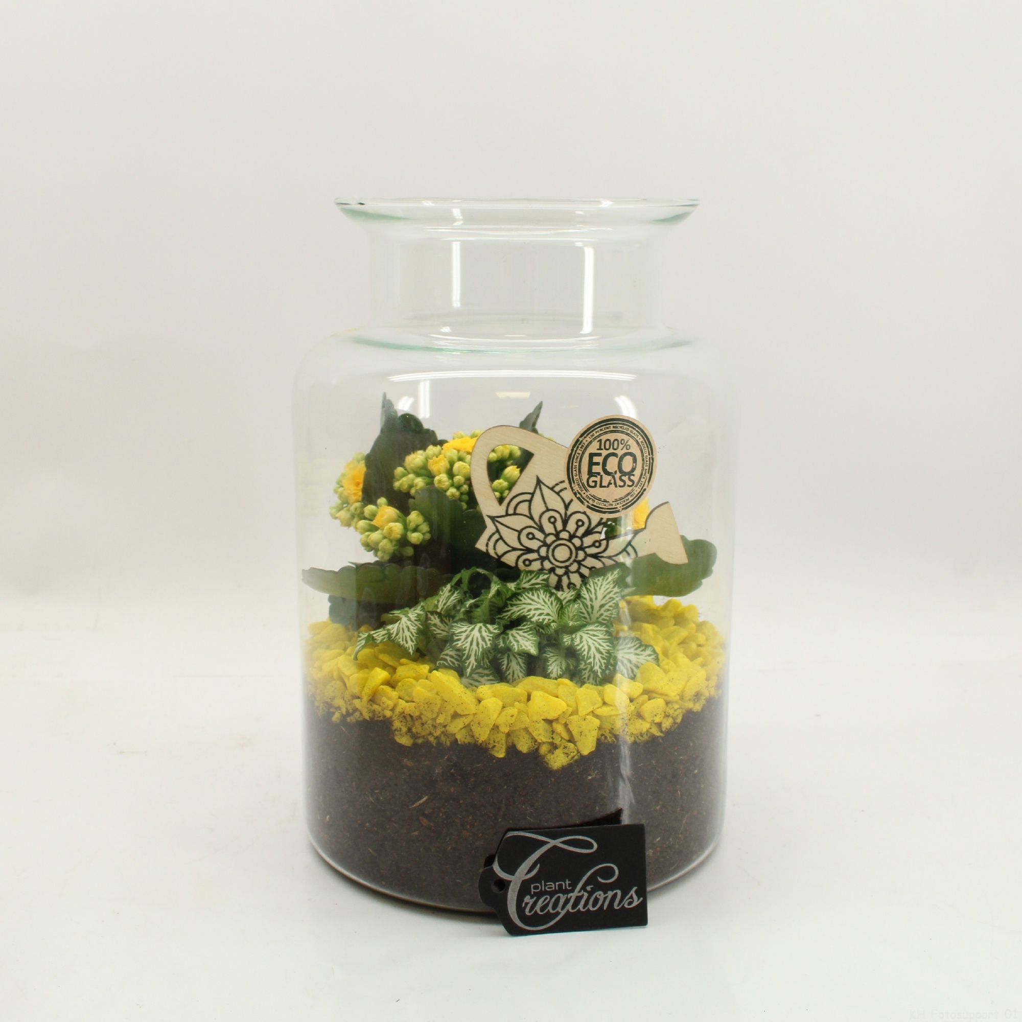 FDCR-2606G Basic Fundamentals terrarium, D 17