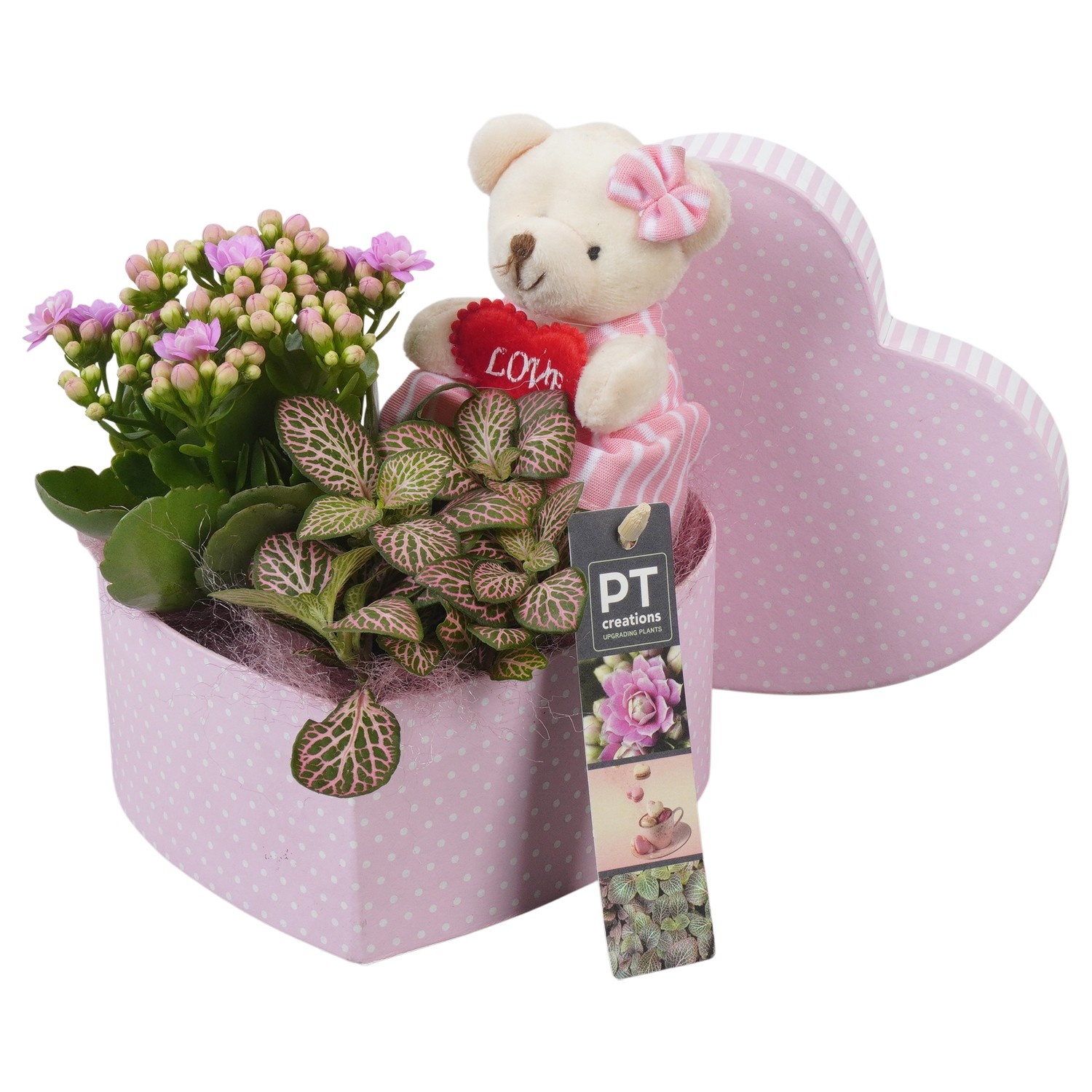 PTVMB2367 Arrangement Valentines-Mothersday in karton hart, D 16