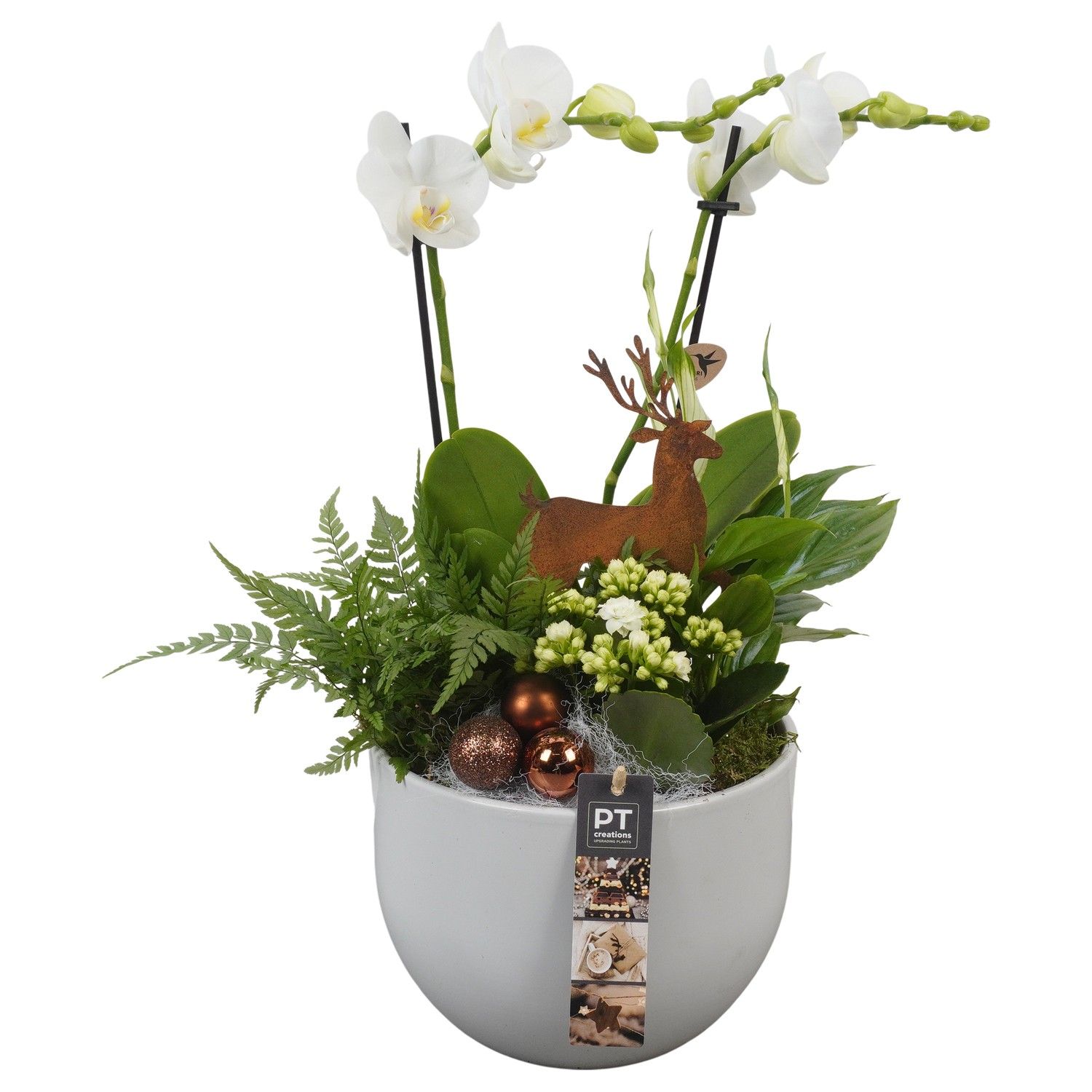 PTCHB9754 Arrangement Christmas Bronze in keramiek pot, D 19 cm