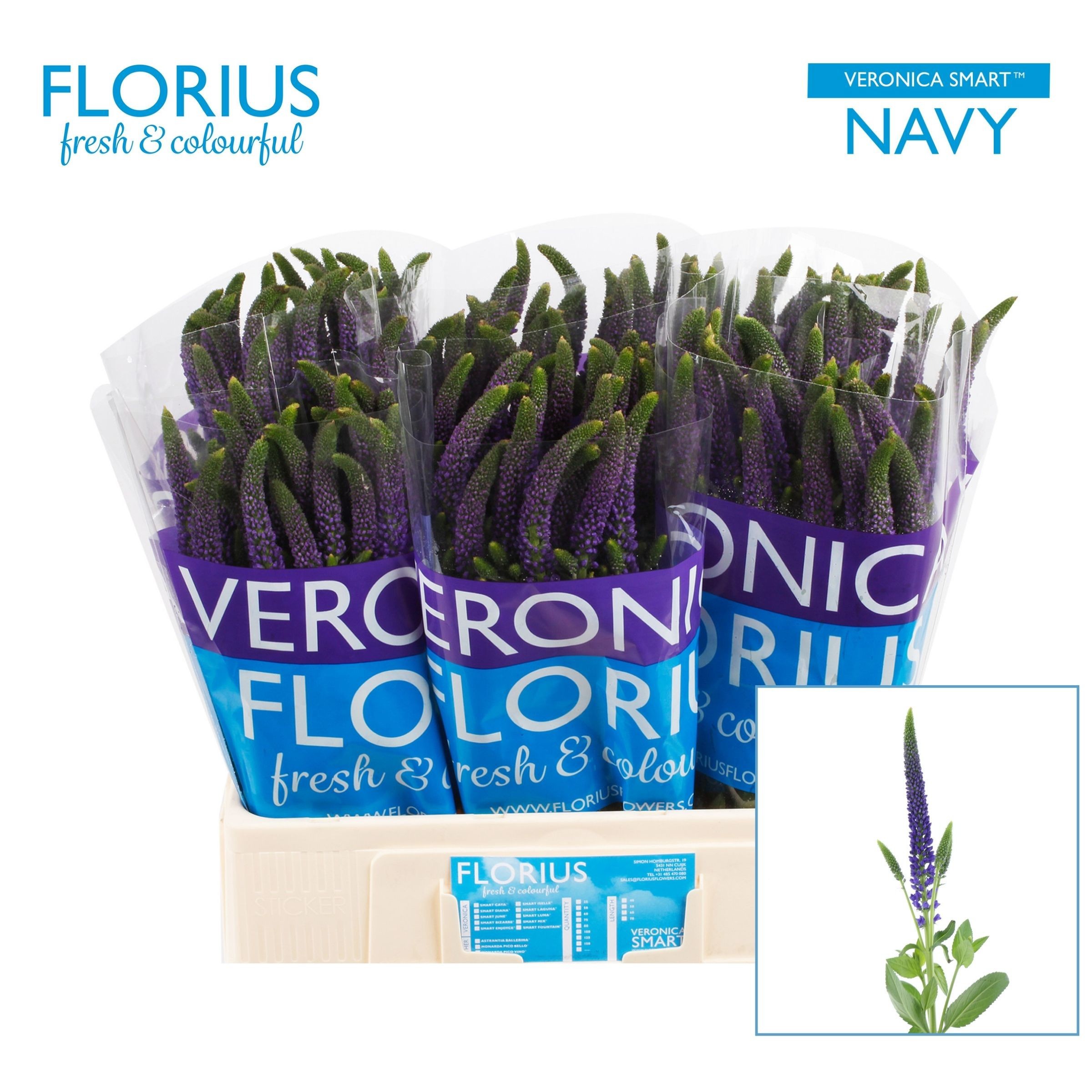 Вероника Смарт Нэви 60, шт.