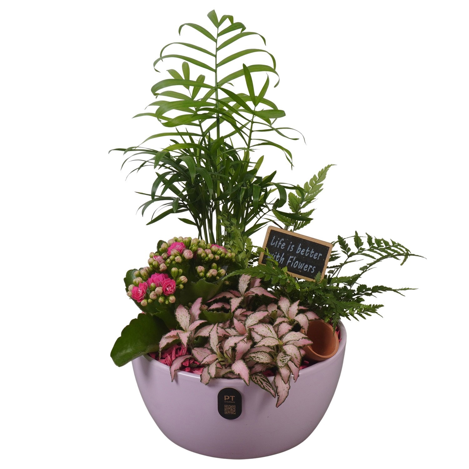 PTIB5135 Arrangement Indoor in keramiek schaal, D 18