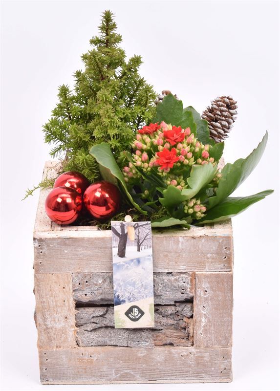 Hout met boomschors 15x15cm, D 15 cm