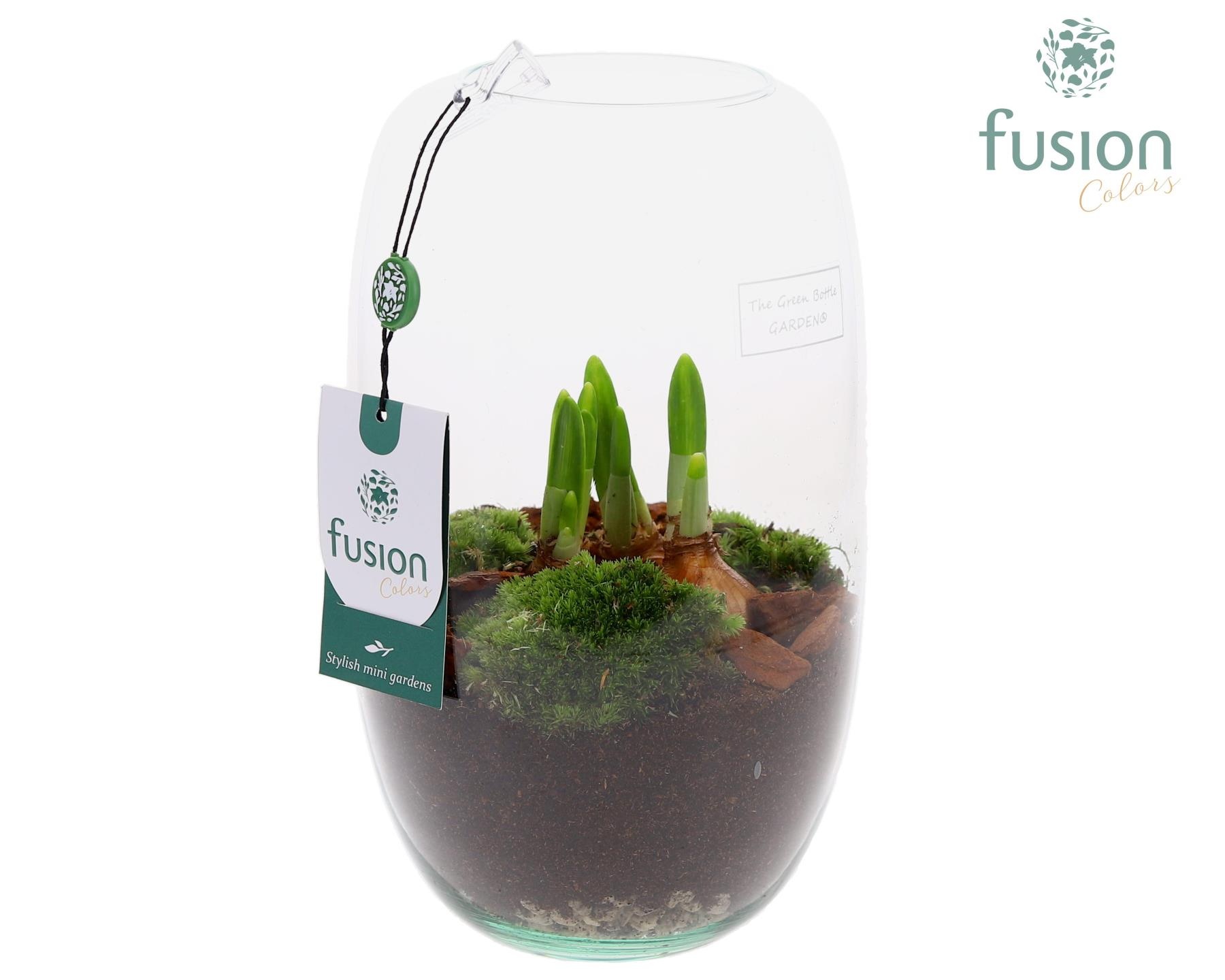 Green Bottle Isabella Medium met Bollen mix, D 15