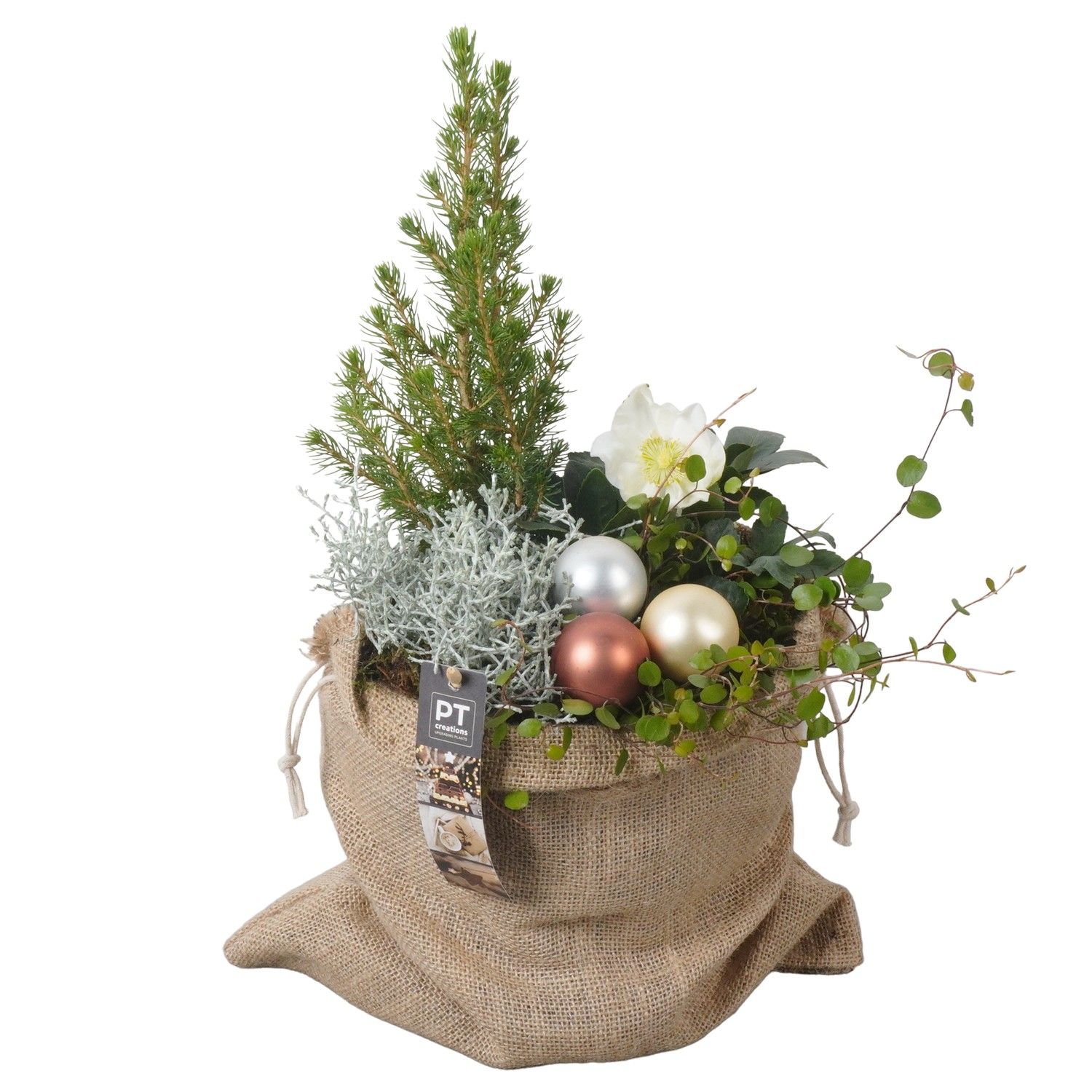 PTWO1951 Arrangement Winter Outdoor in jute zak, D 18 cm PTWO1951 Arrangement Winter Outdoor in jute zak, D 18 cm