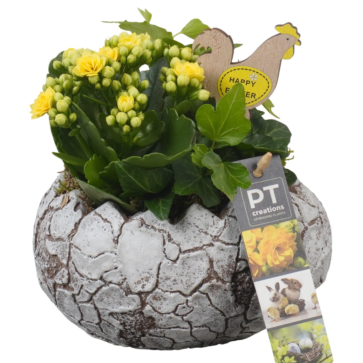 PTPB6615 Arrangement Easter in beton ei, D 16