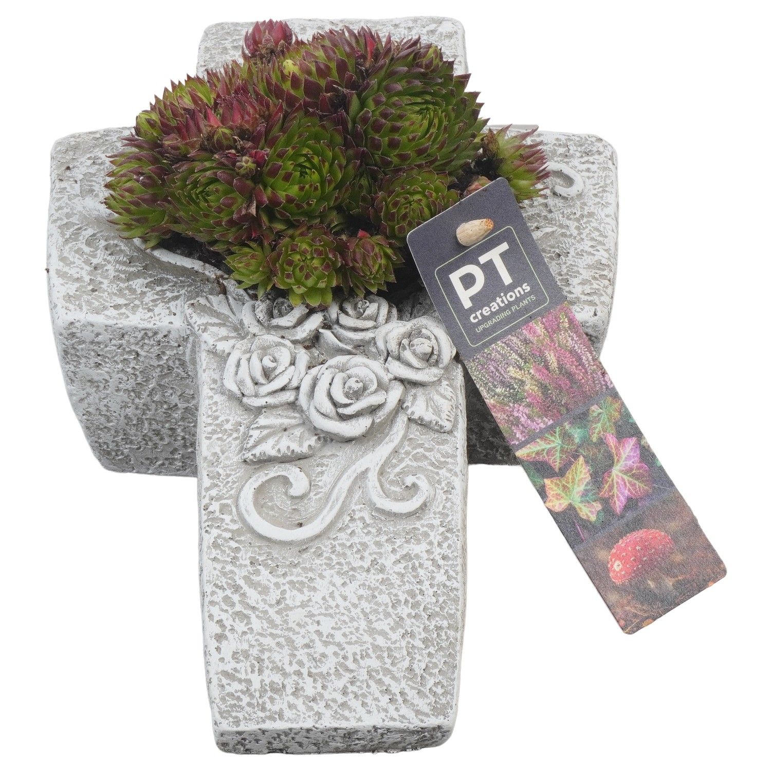 PTAH8618 Arrangement Allerheiligen in beton kruis, D 22 cm PTAH8618 Arrangement Allerheiligen in beton kruis, D 22 cm