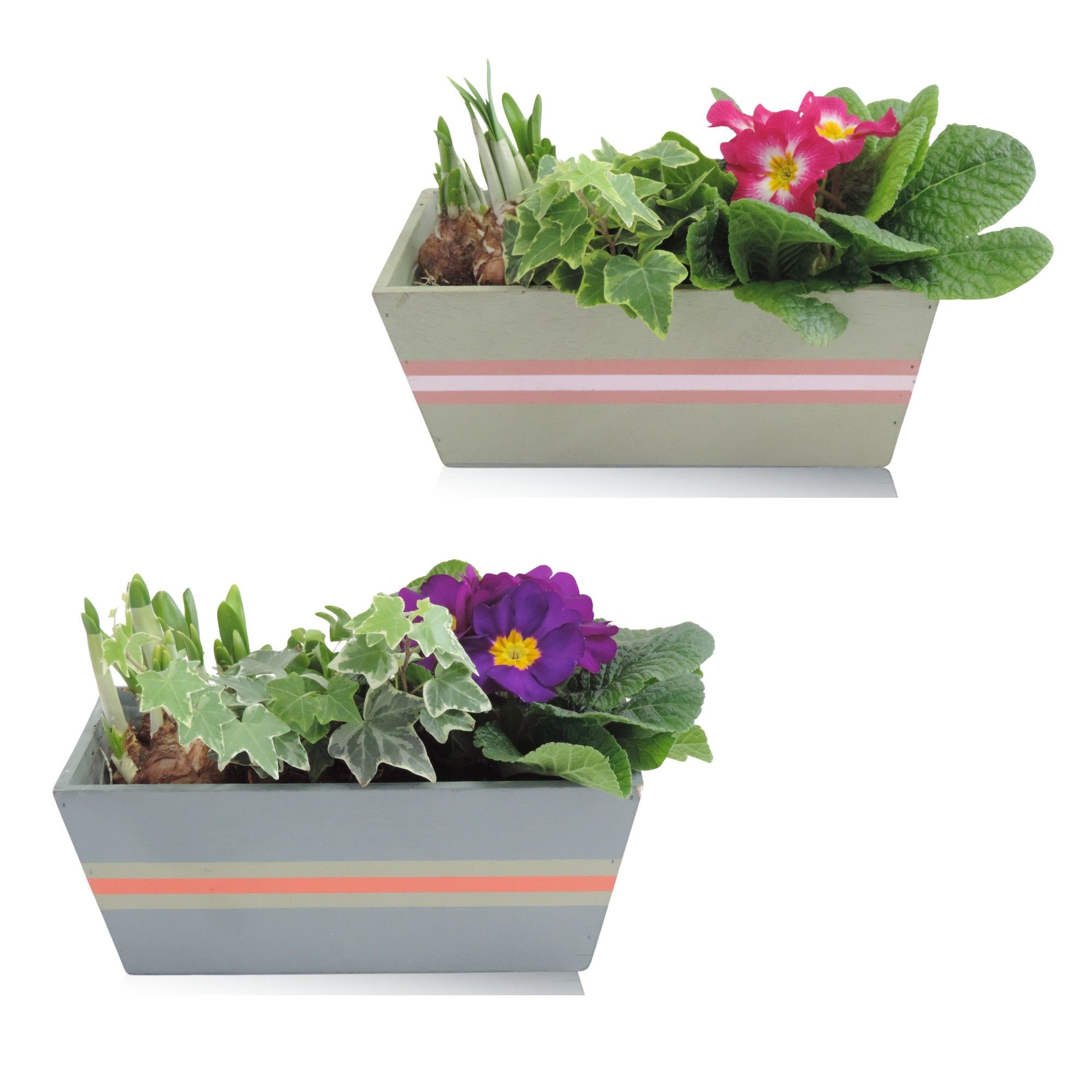 Jessy Early Spring Specials Arrangement Narcis in Houten bak 25 cm, D 25