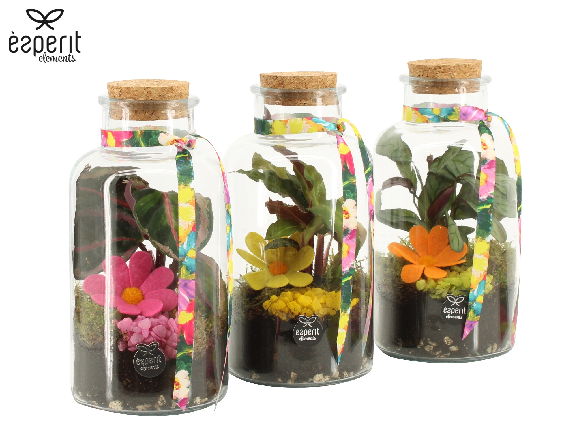 31794: Reinvention terrarium, D 10