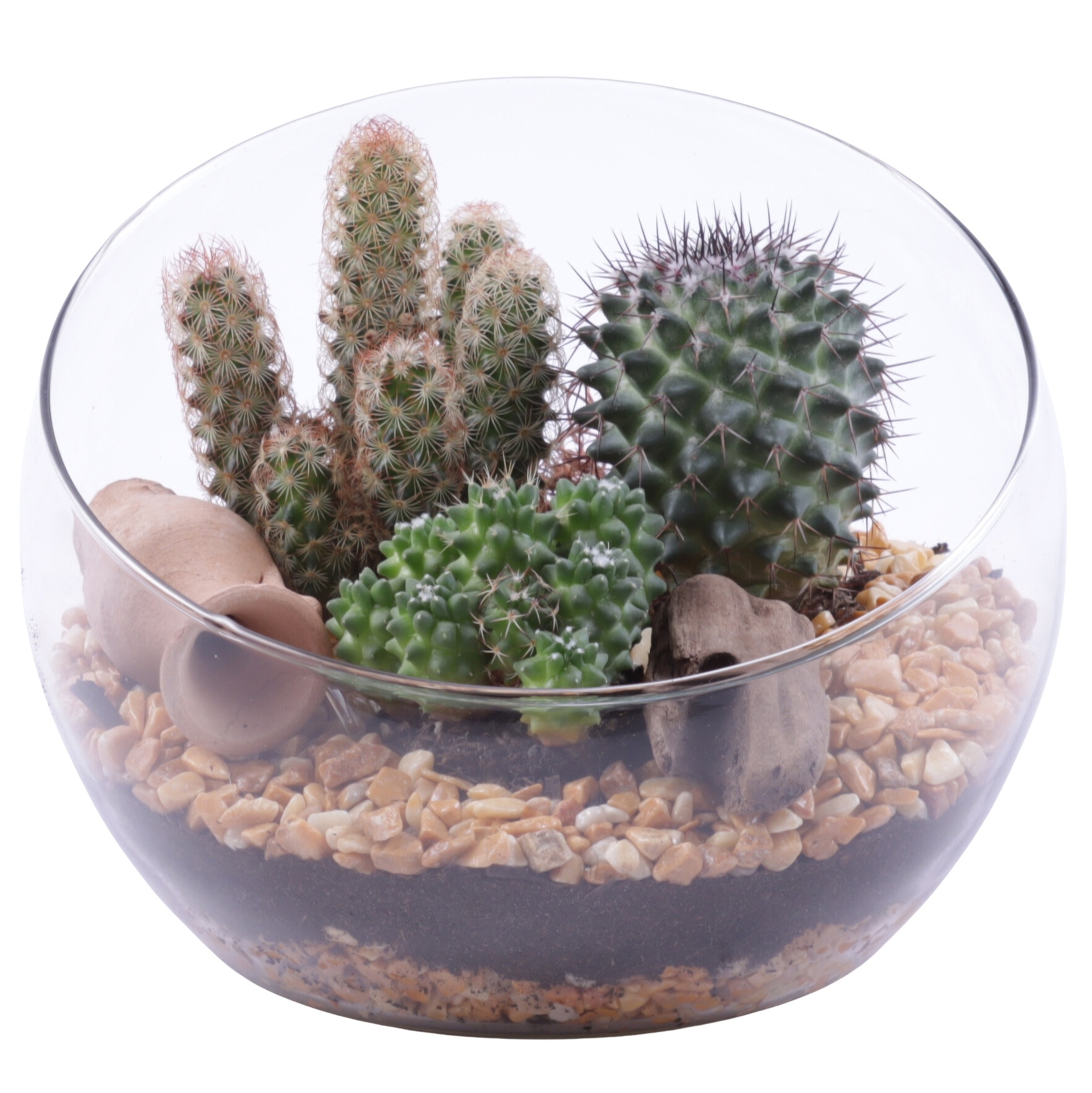 Yearround Arr. Cactus Glass Bowl Vase Ø20cm 3PP, D 20 cm Yearround Arr. Cactus Glass Bowl Vase Ø20cm 3PP, D 20 cm