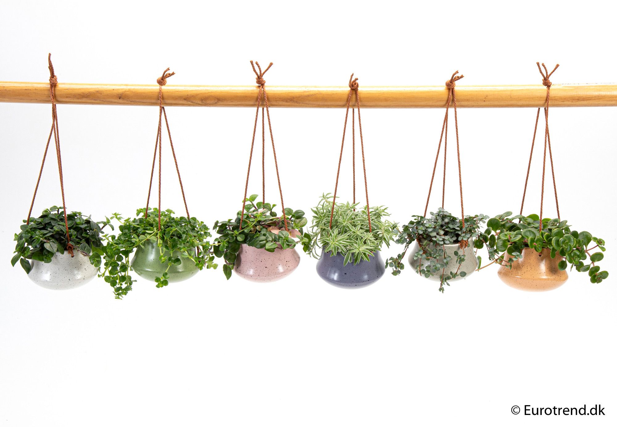 Green mix in hanging ceramic - New Look 2025, D 6