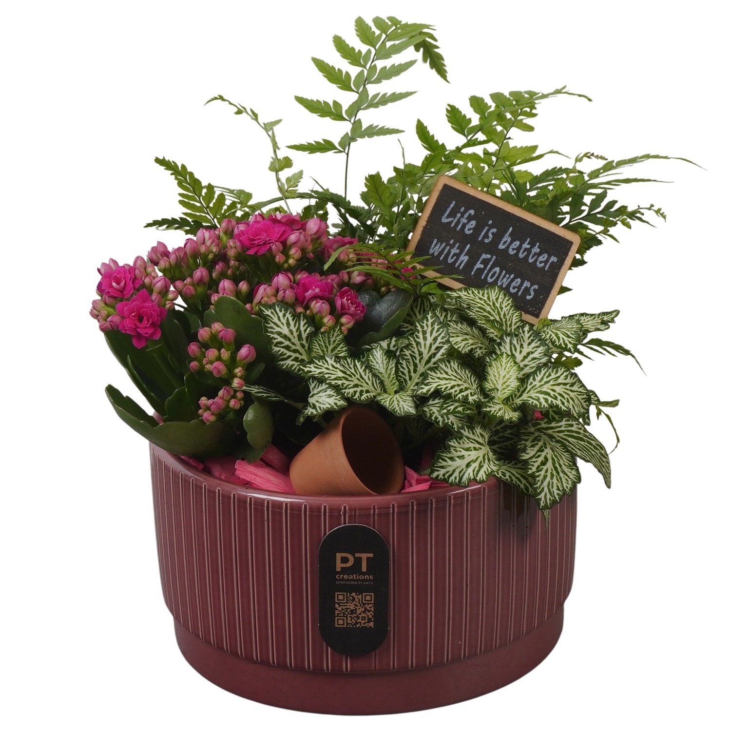 PTIB5108 Arrangement Indoor in keramiek schaal, D 16