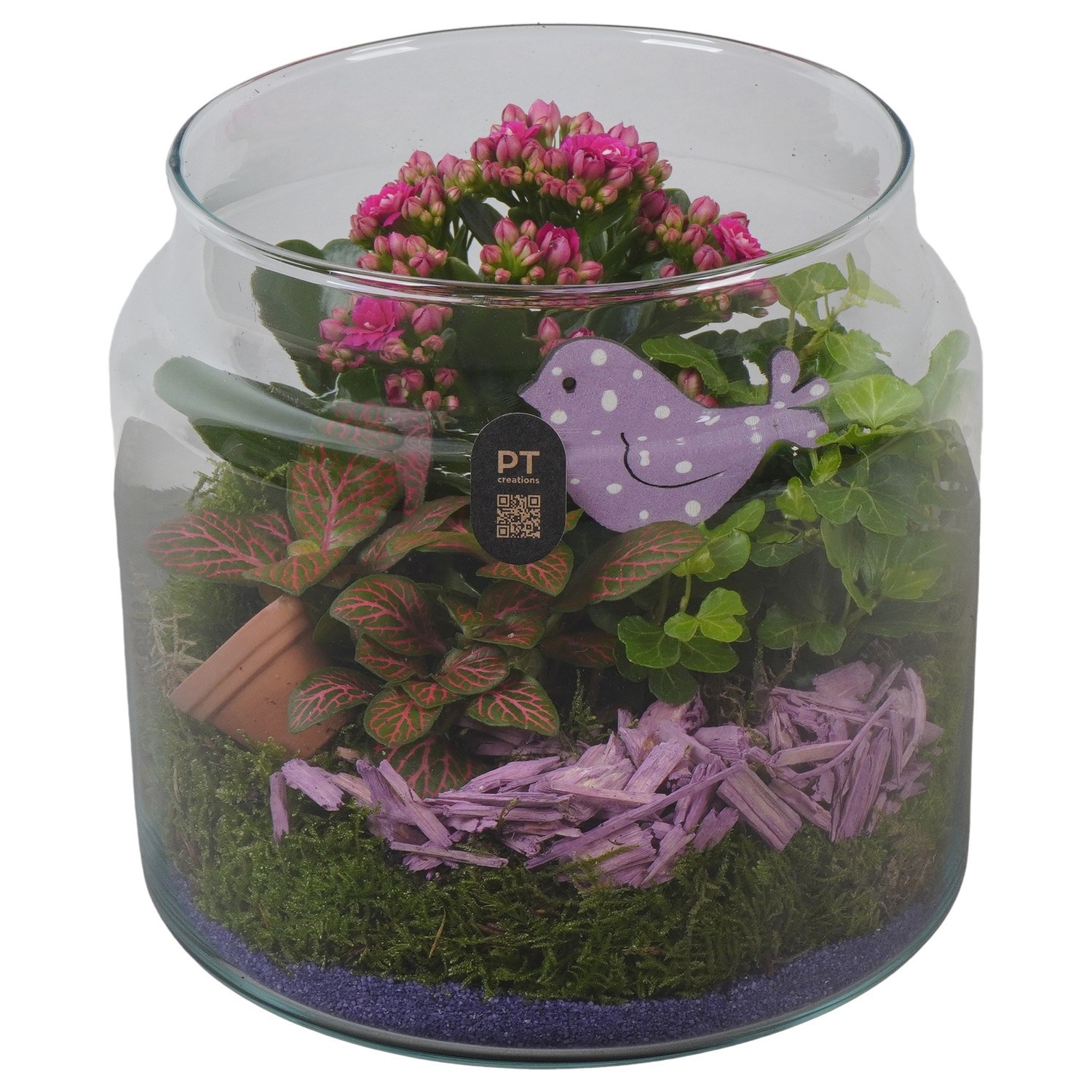 PTIG2621 Arrangement Indoor in glazen vaas, D 19