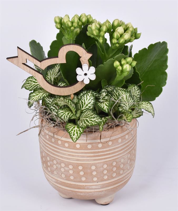 Cement met motief op pootjes 9cm, D 11