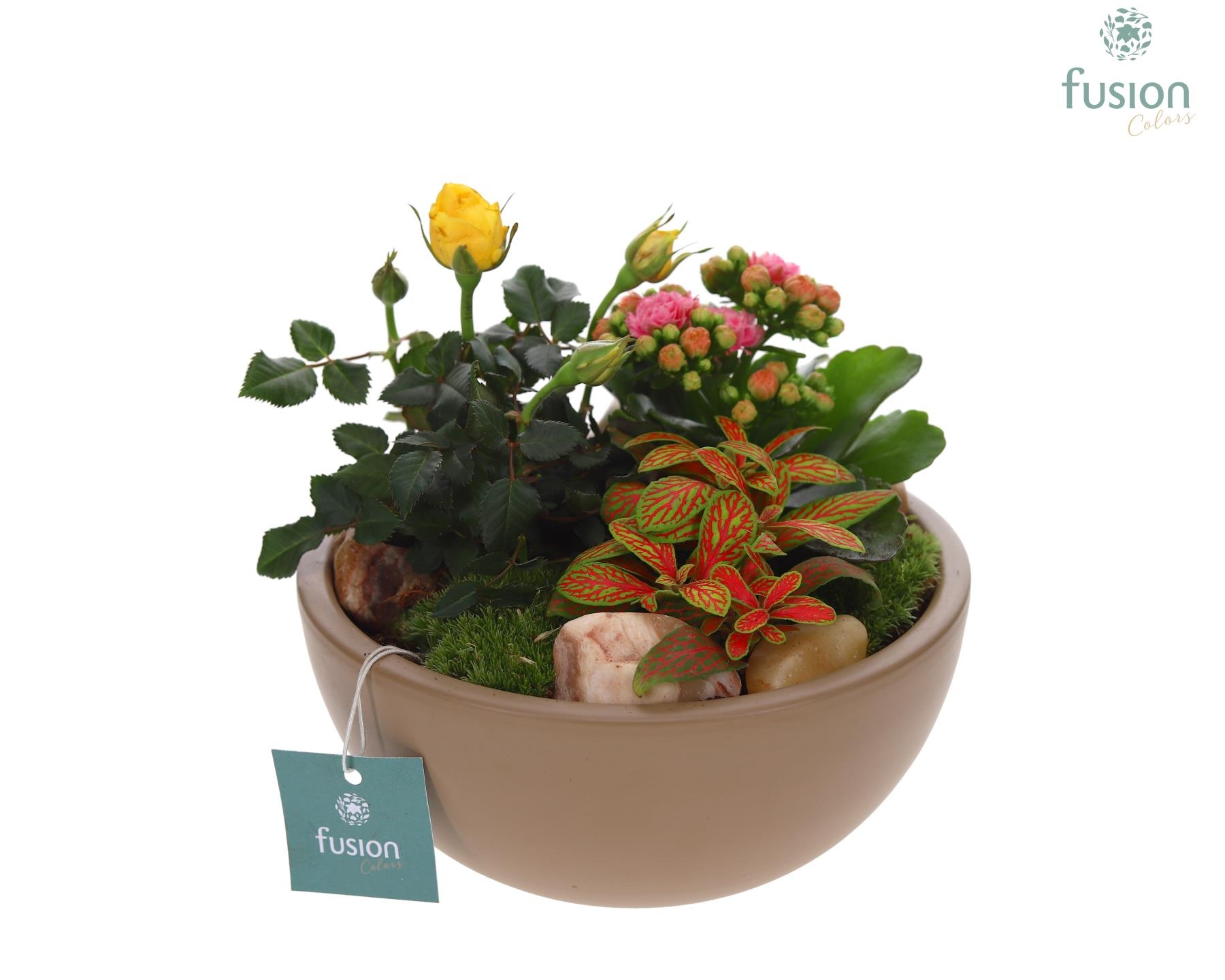 Schaal keramiek Moon Medium beige met arrangement, D 18